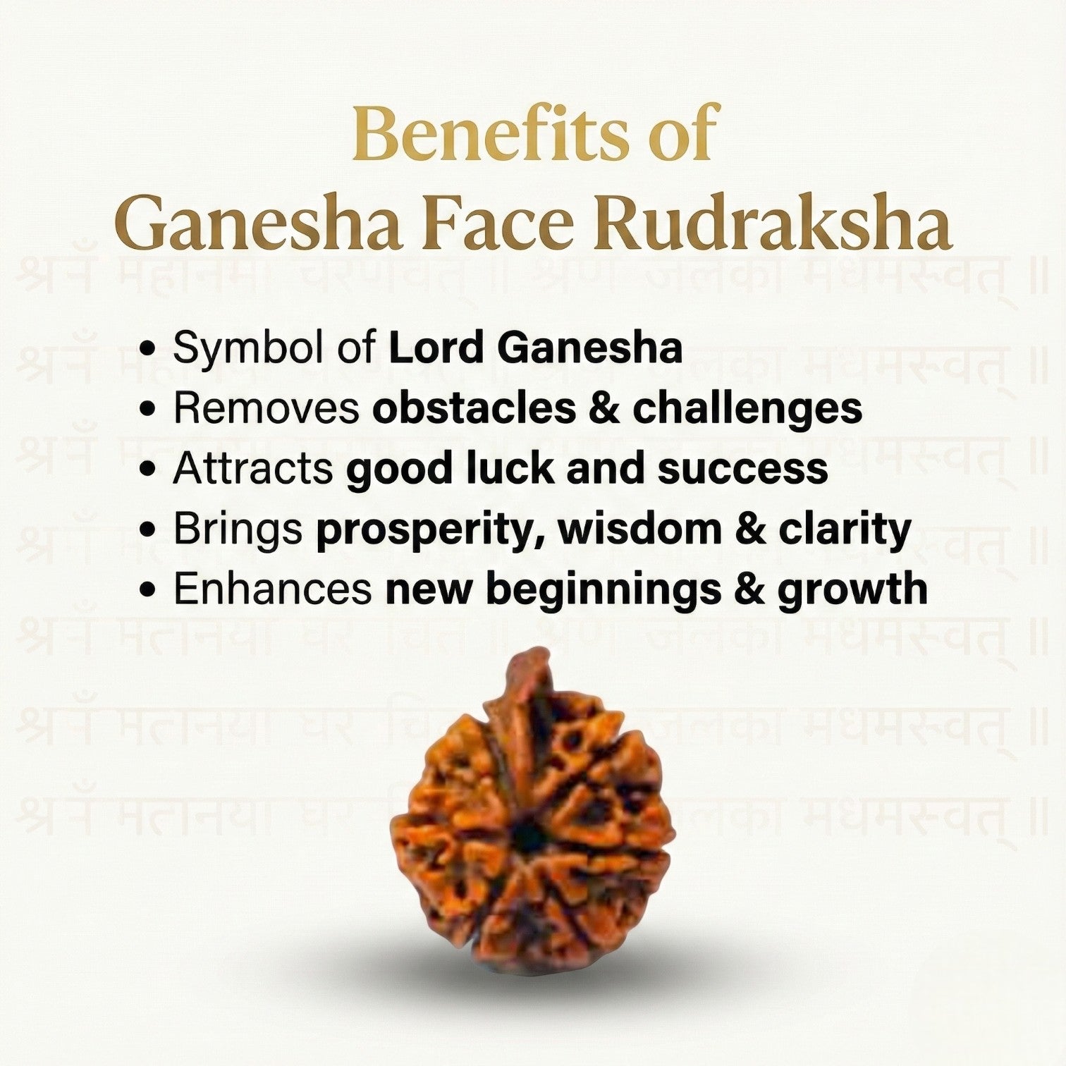 Ganesh Rudraksha