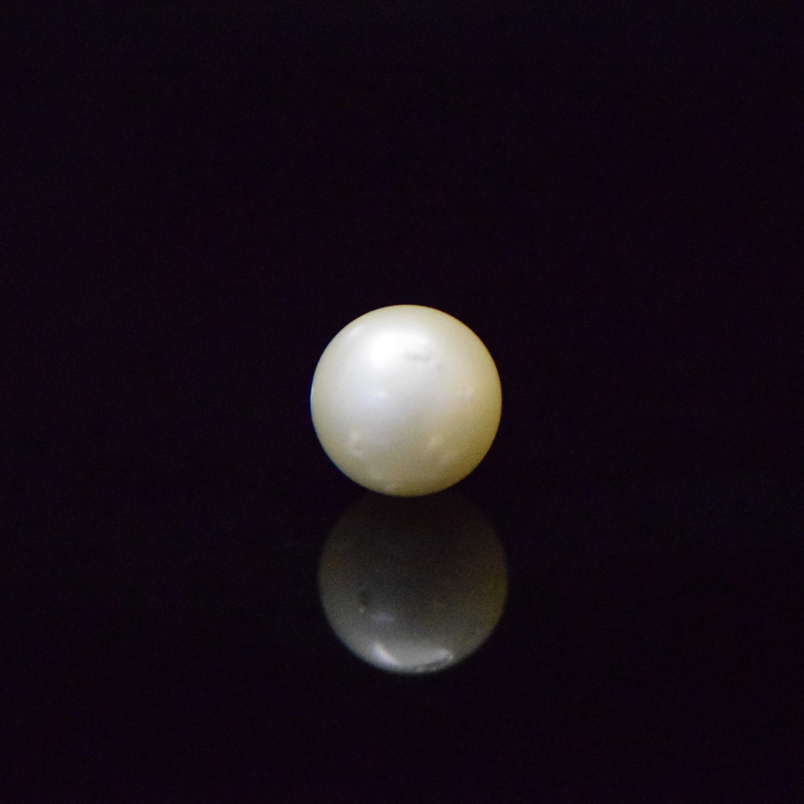 South Sea Pearls