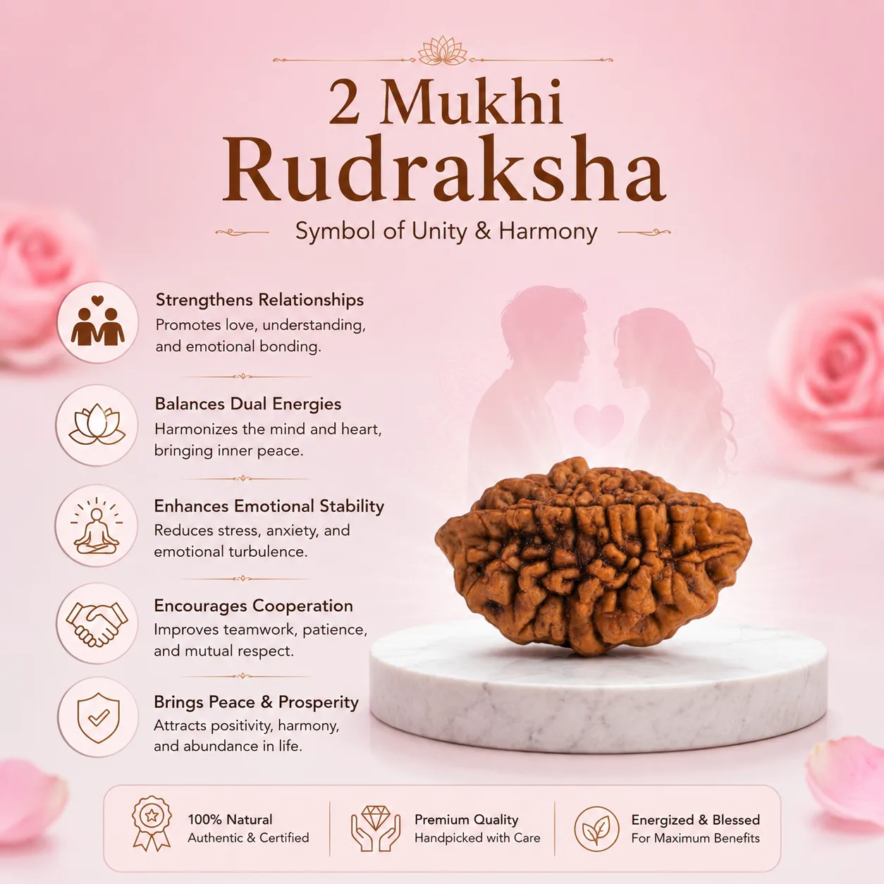  Natural 2 Mukhi Rudraksha Pendant-Gold Plated