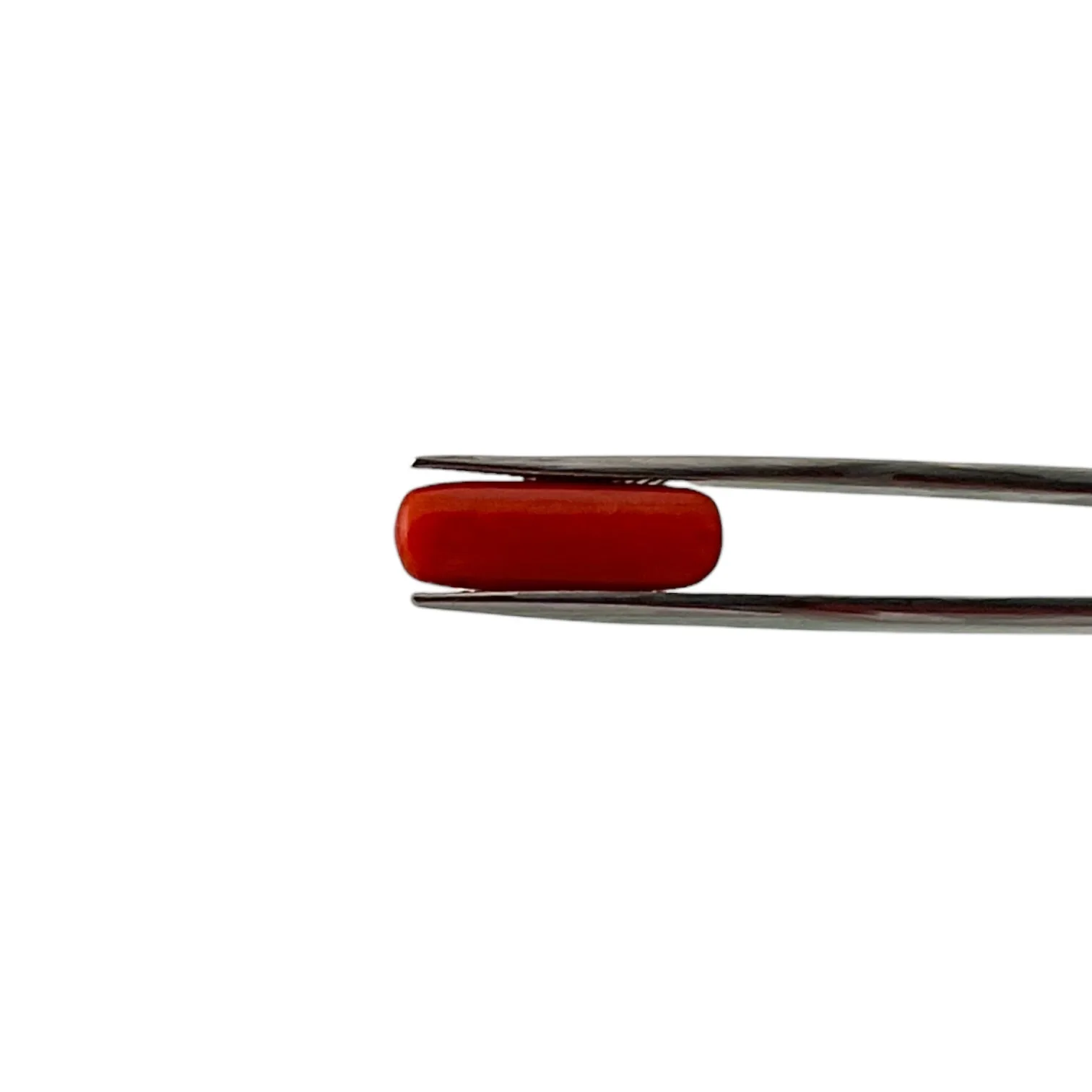 Natural Coral (Italian) - 5.1 Carat