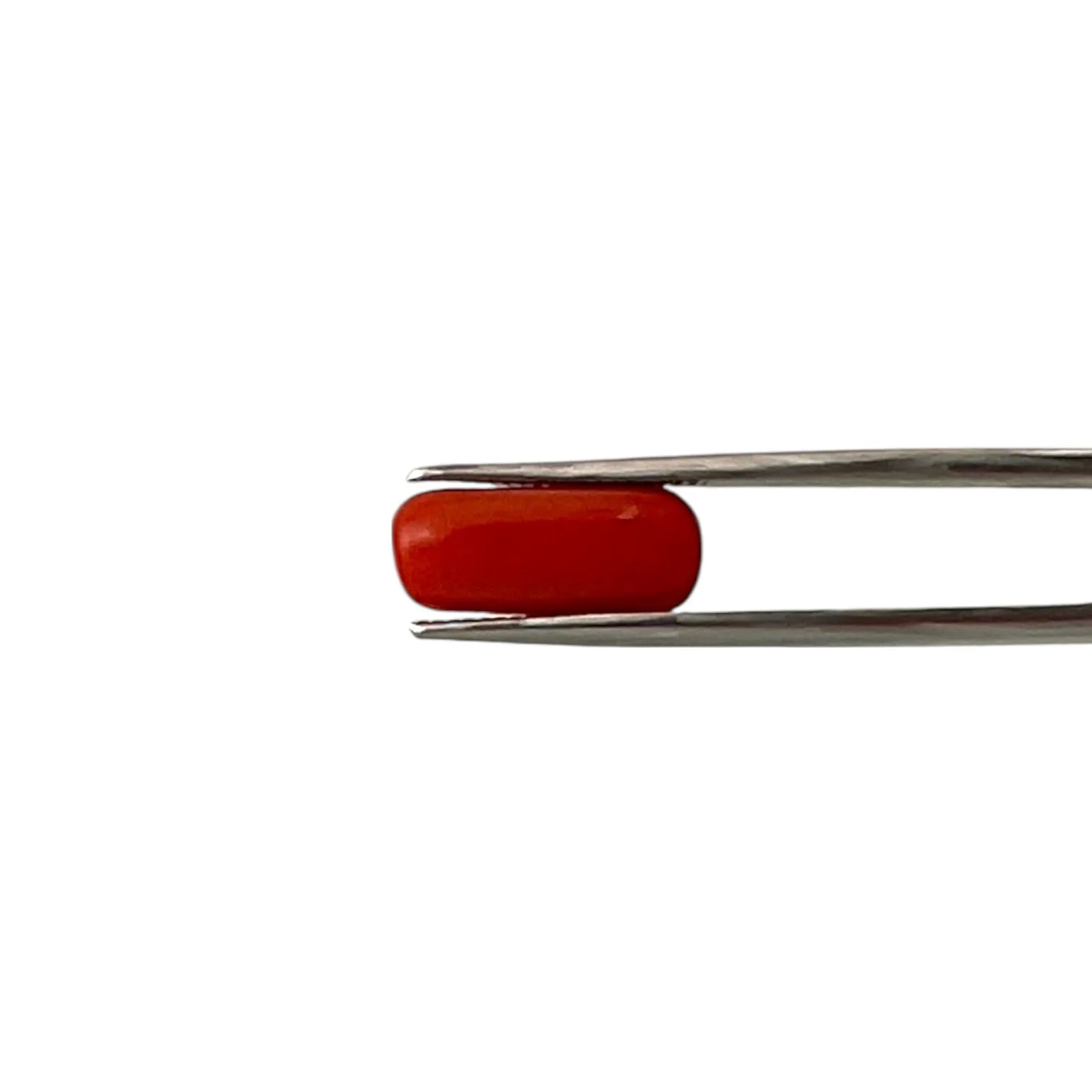 Natural Coral (Italian) - 6.1 Carat
