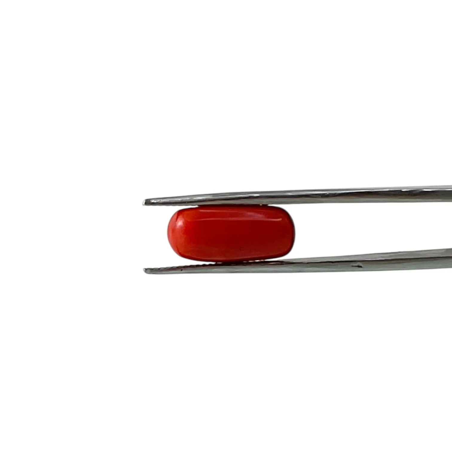 Red Coral (Italian) - 6.41 Carat