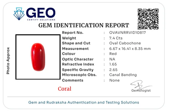 Red Coral (Italian) - 7.4 Carat