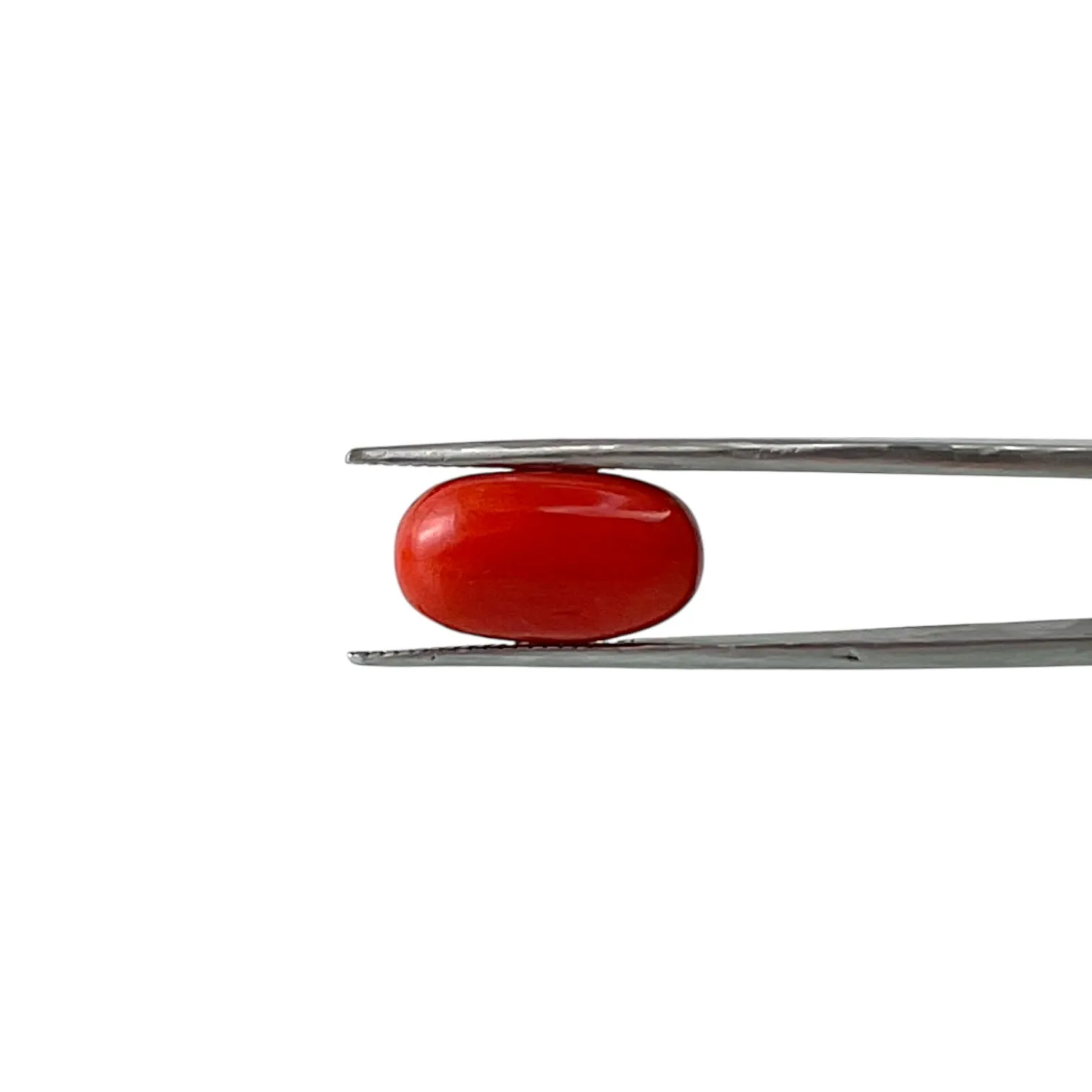 Red Coral (Italian) - 9.23 Carat