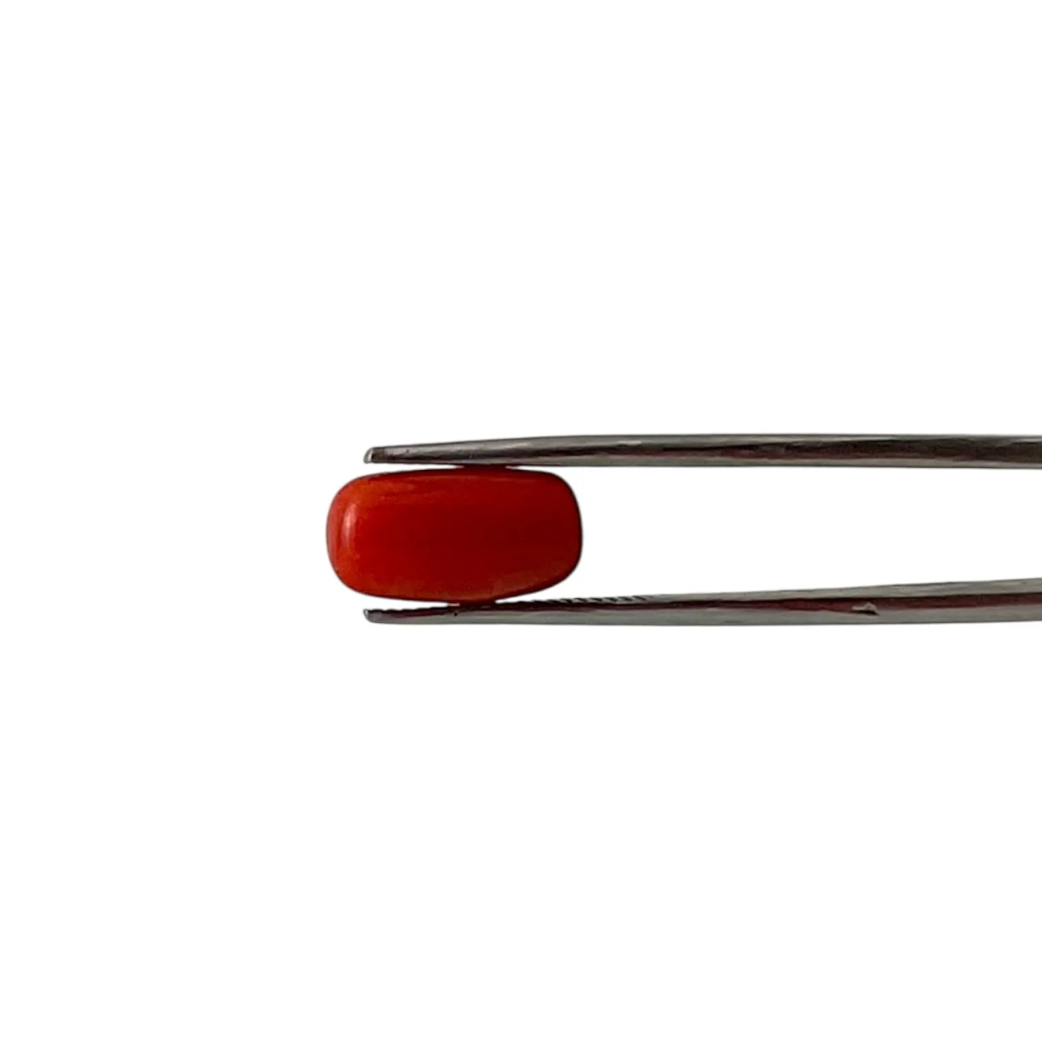 Red Coral (Italian) - 4.68 Carat