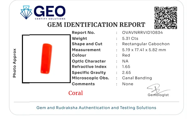 Red Coral (Italian) - 5.31 Carat