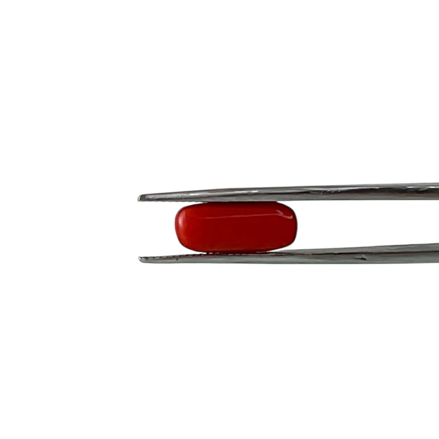 Red Coral (Italian) - 4.2 Carat