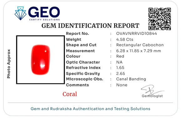 Red Coral (Italian) - 4.58 Carat