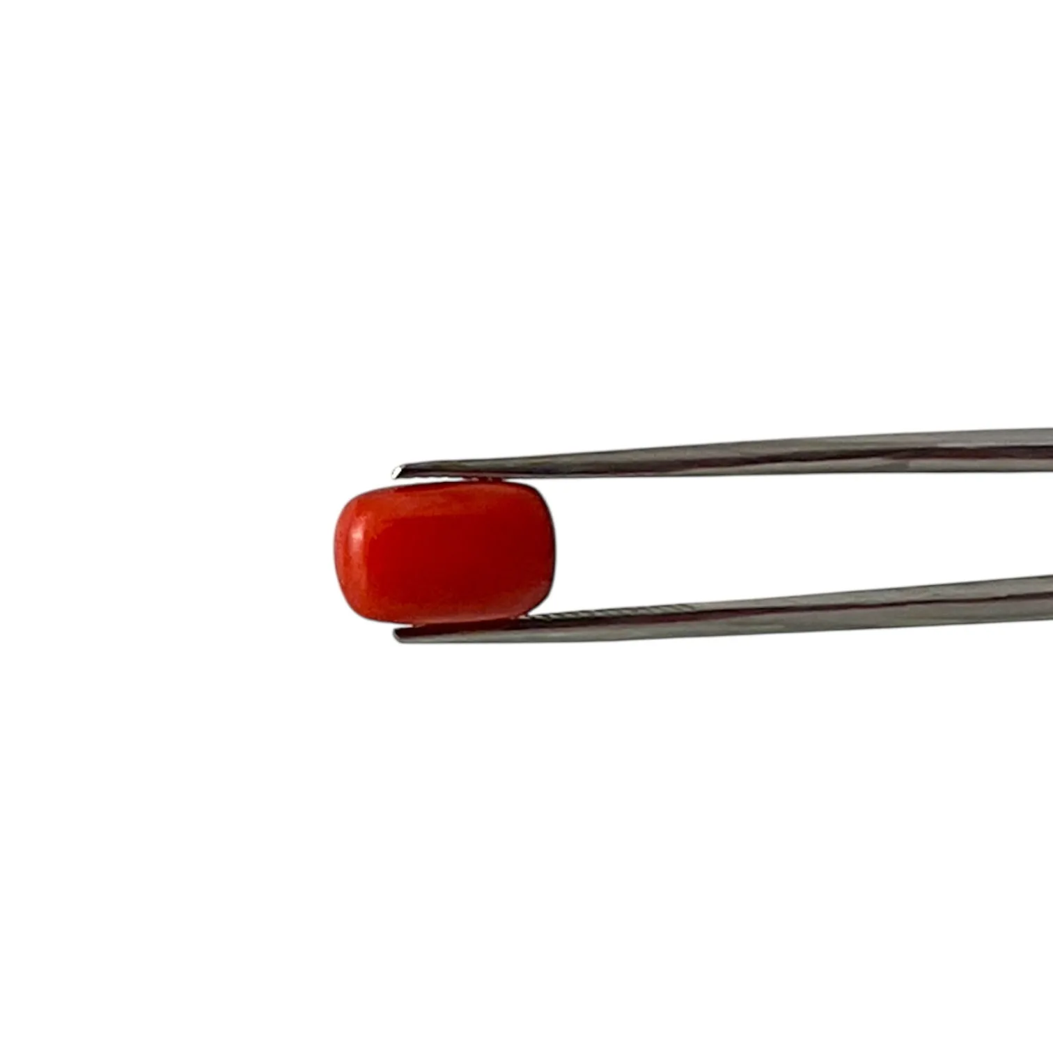 Red Coral (Italian) - 4.58 Carat