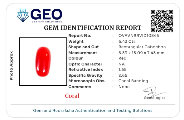 Red Coral (Italian) - 6.43 Carat