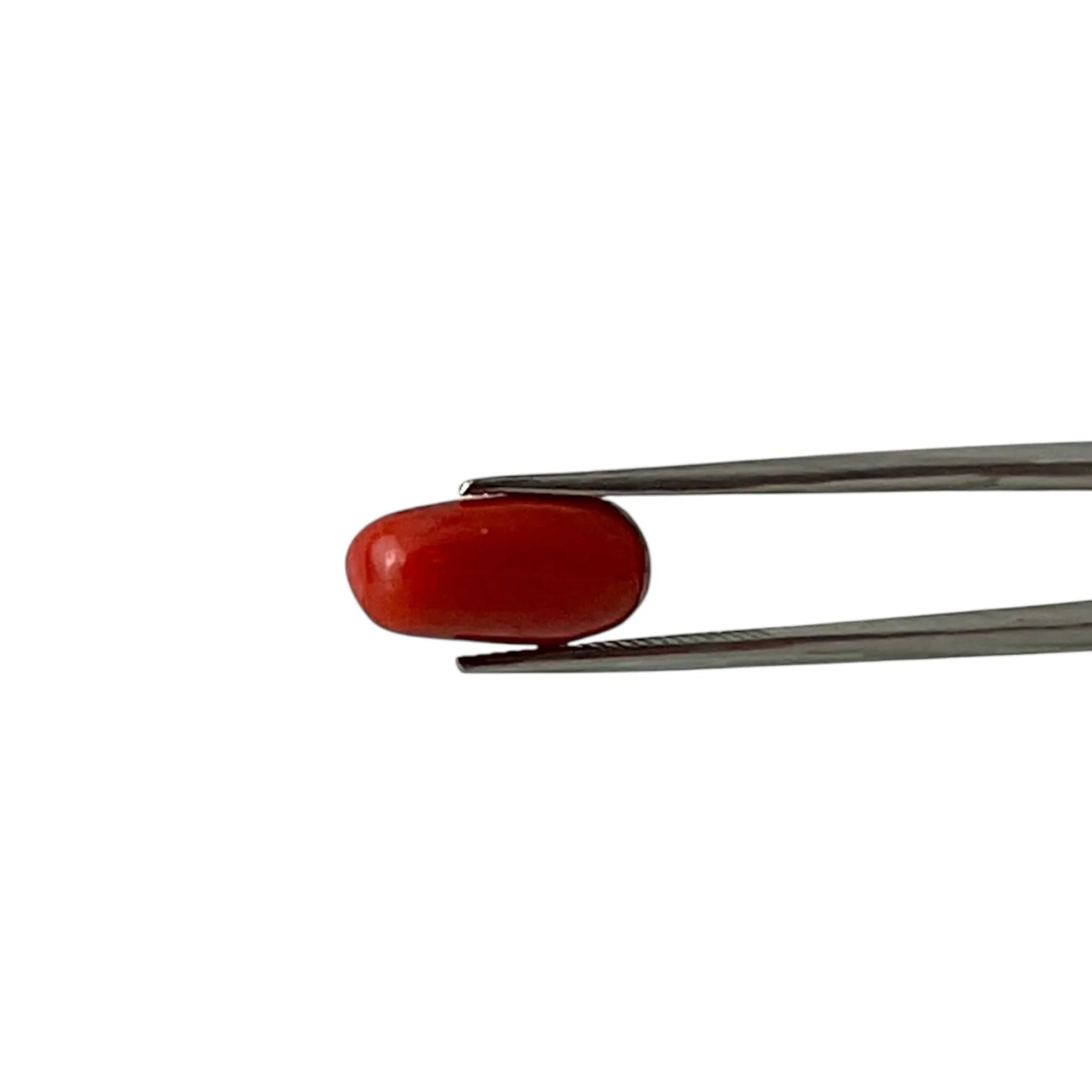 Red Coral (Italian) - 6.43 Carat