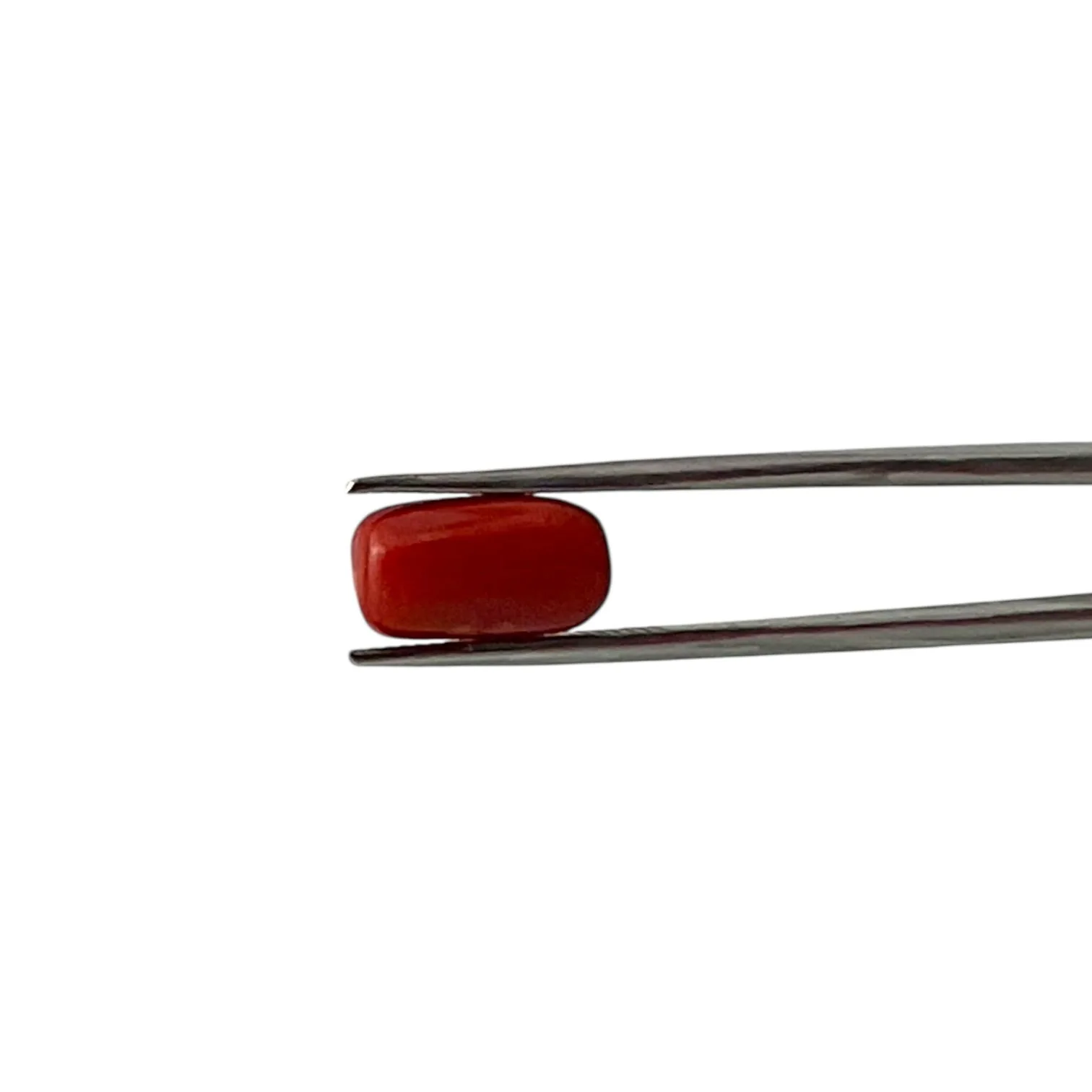 Red Coral (Italian) - 4.82 Carat