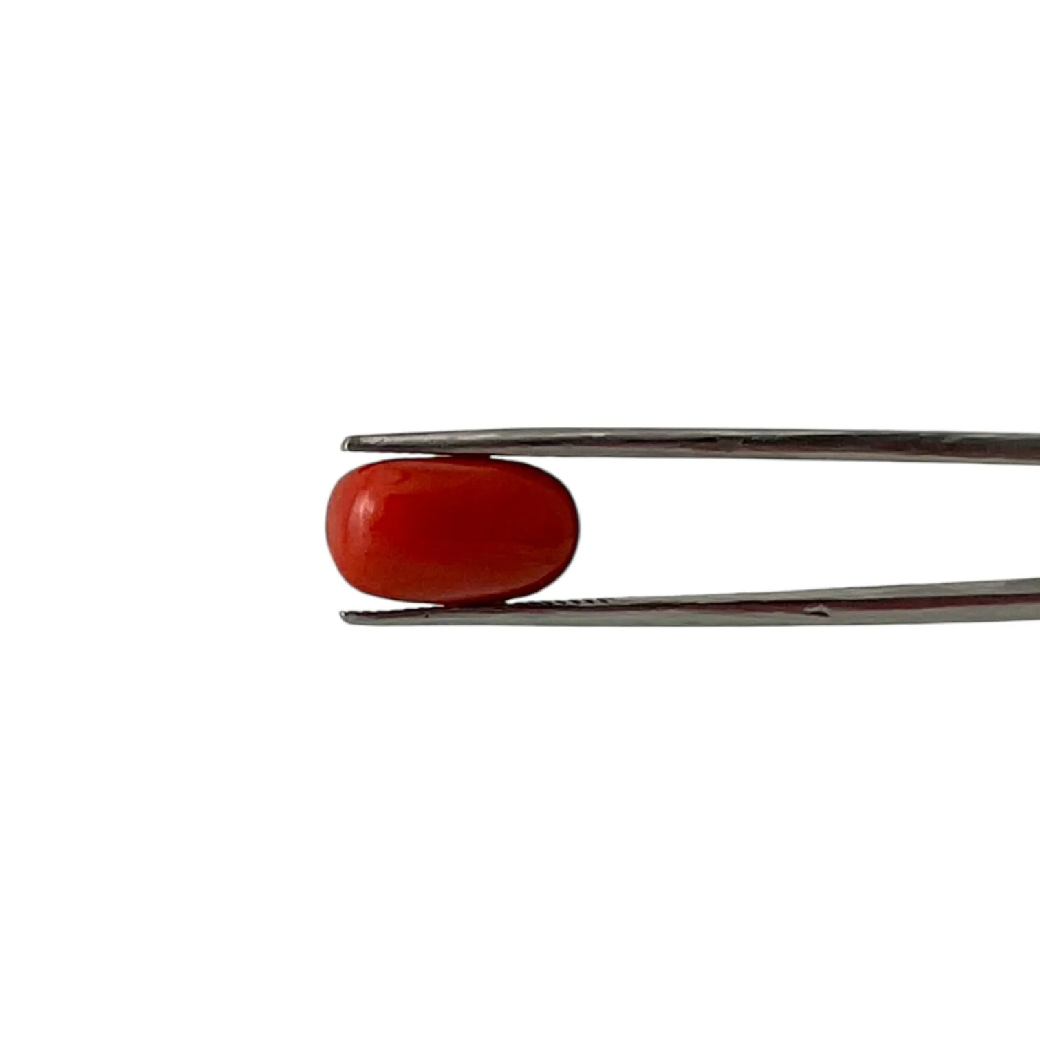 Red Coral (Italian) - 6.82 Carat