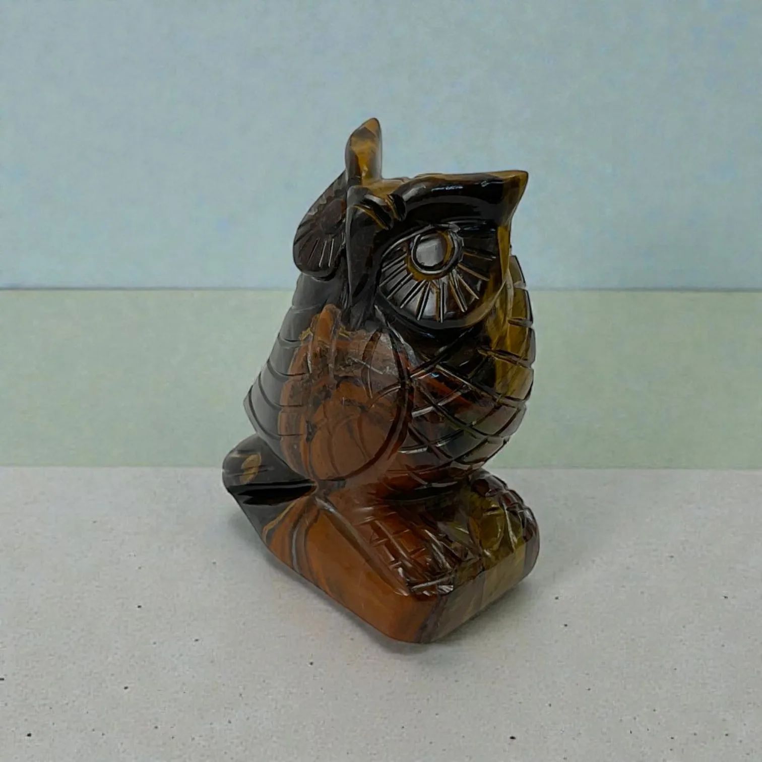 Tiger Eye Owl