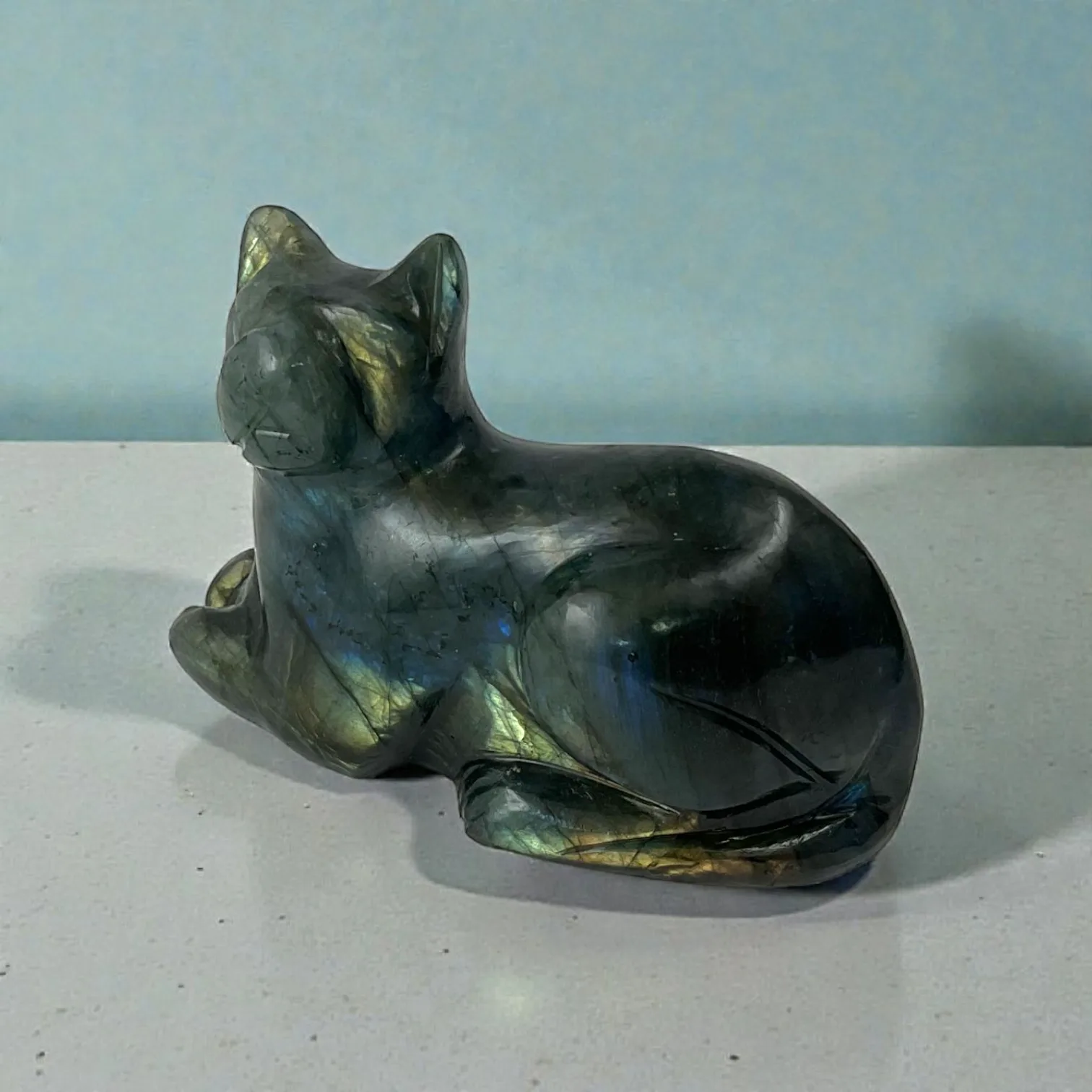 Labrodorite Cat