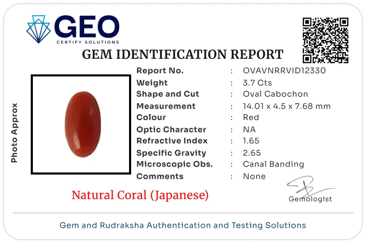 Red Coral (Japanese) - 3.7 Carat