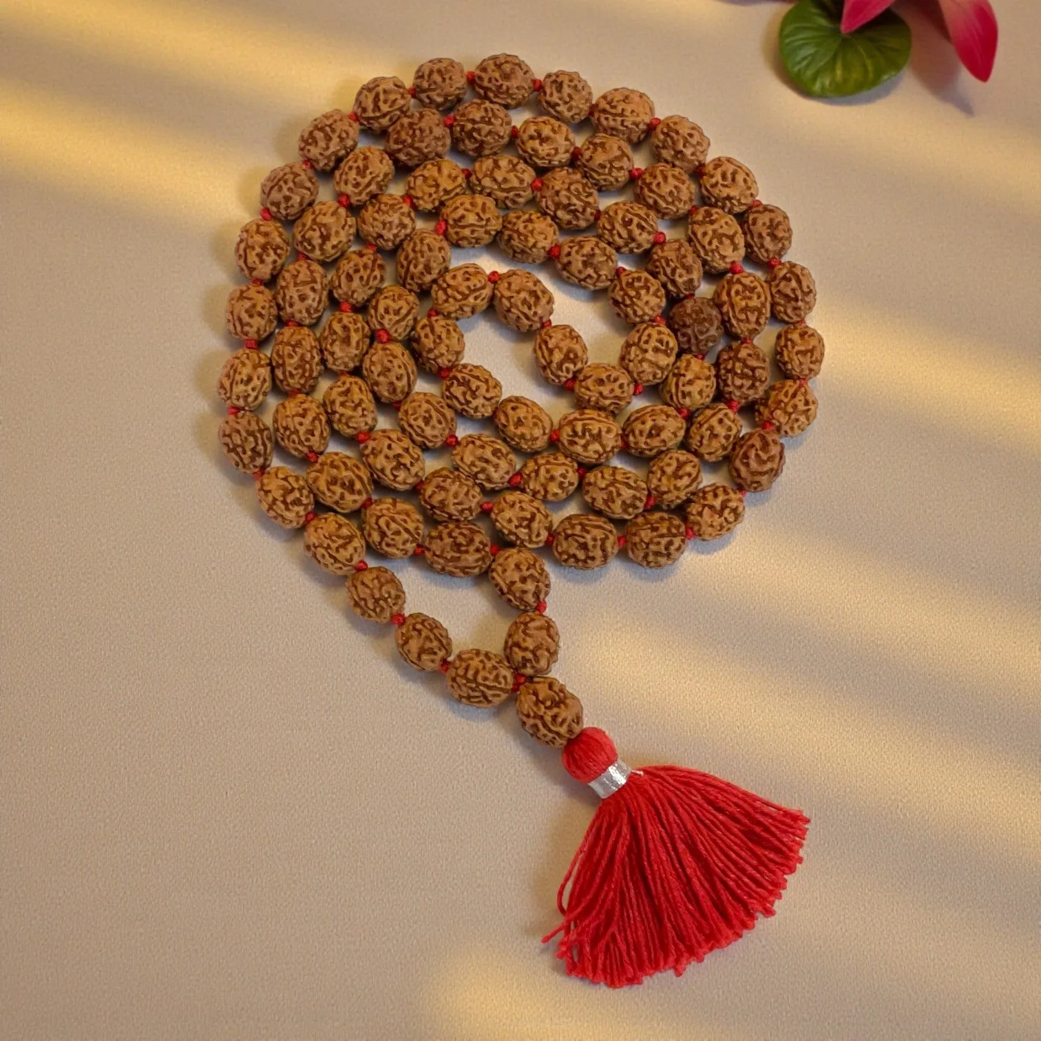 4 Mukhi Rudraksha Mala (81+1)