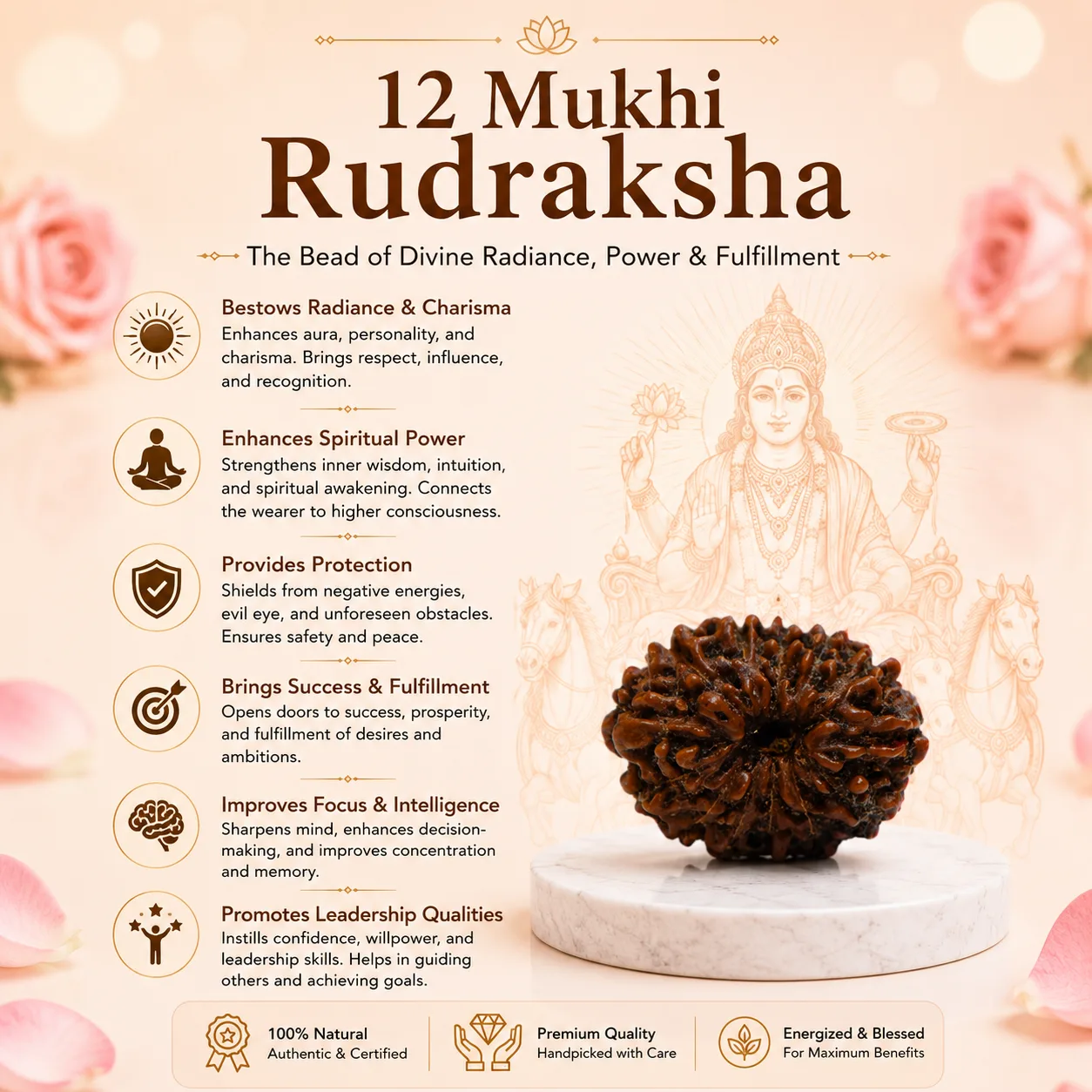 Natural 12 Mukhi Rudraksha Beads