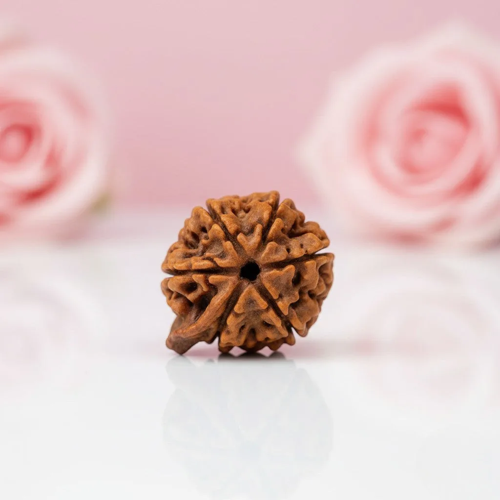 Natural Ganesh Rudraksha Beads  A Premium Quality