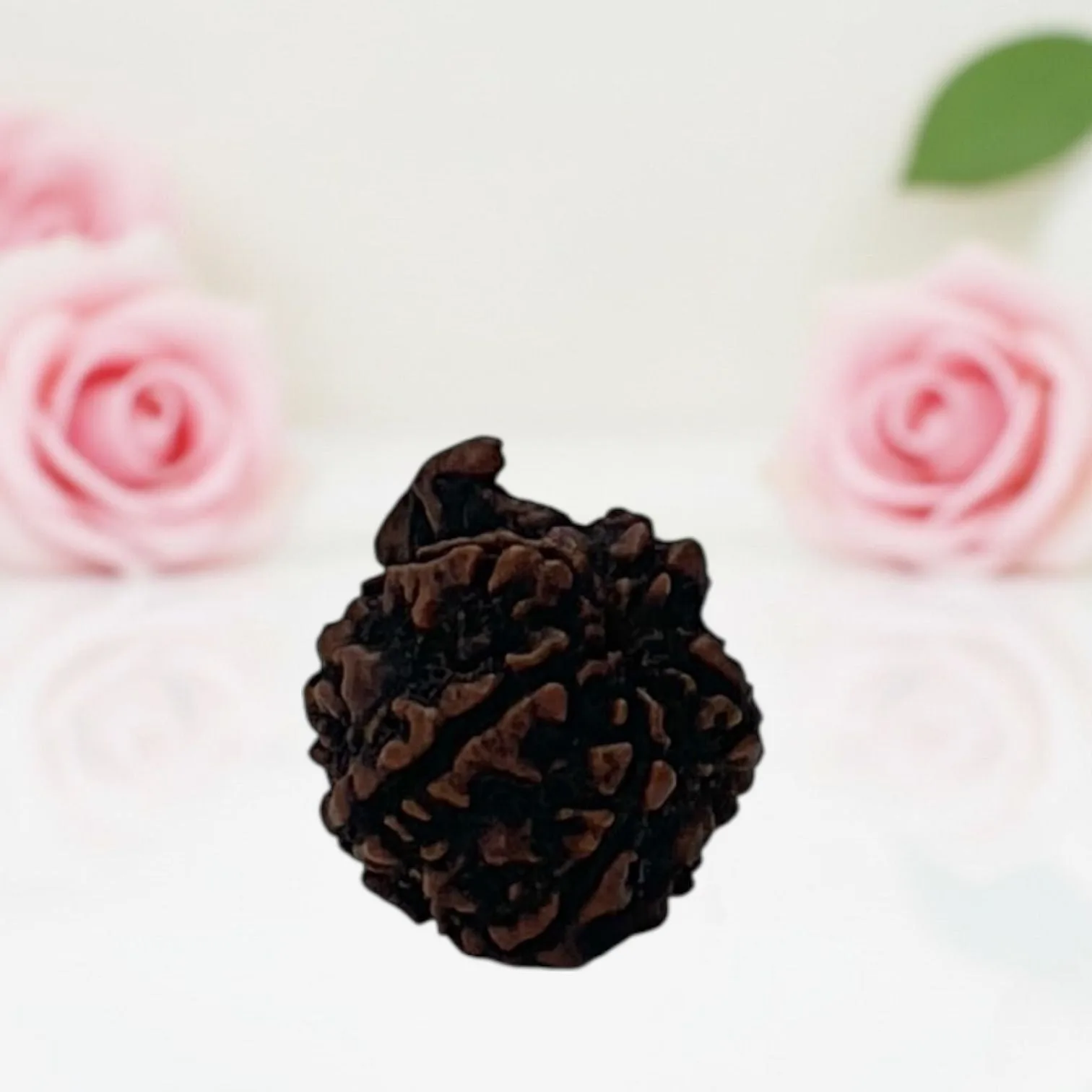 Natural Ganesh Rudraksha Beads  A Premium Quality