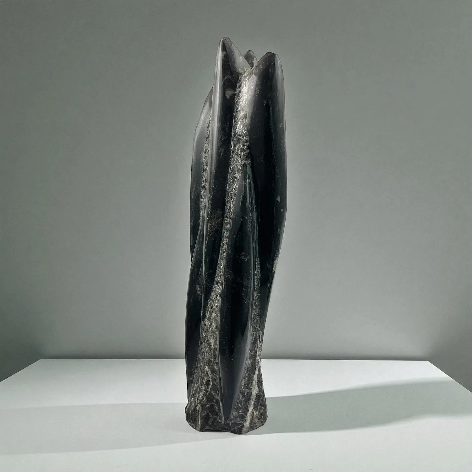 Orthoceras