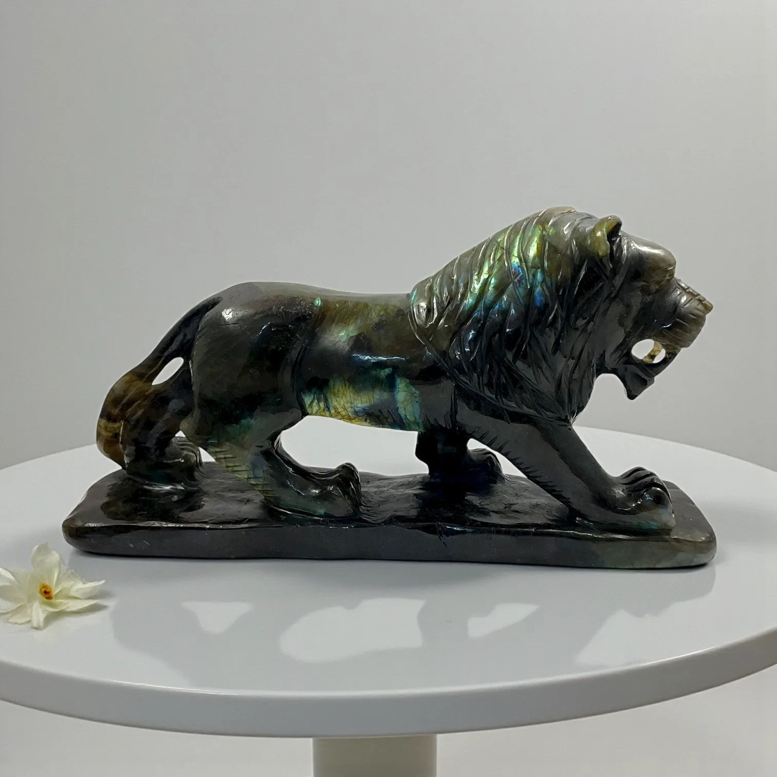 Labrodorite Lion
