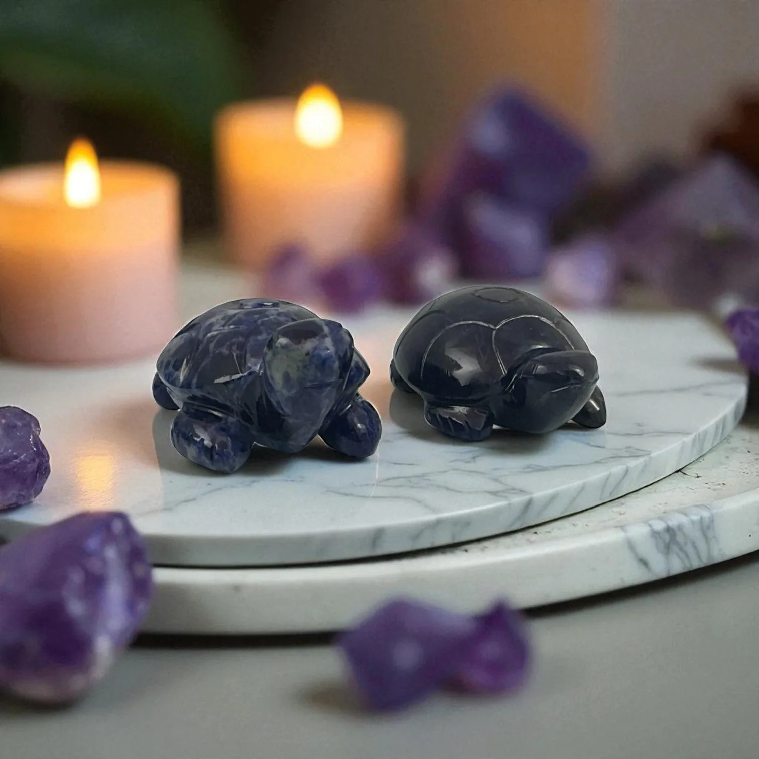 Sodalite Turtle