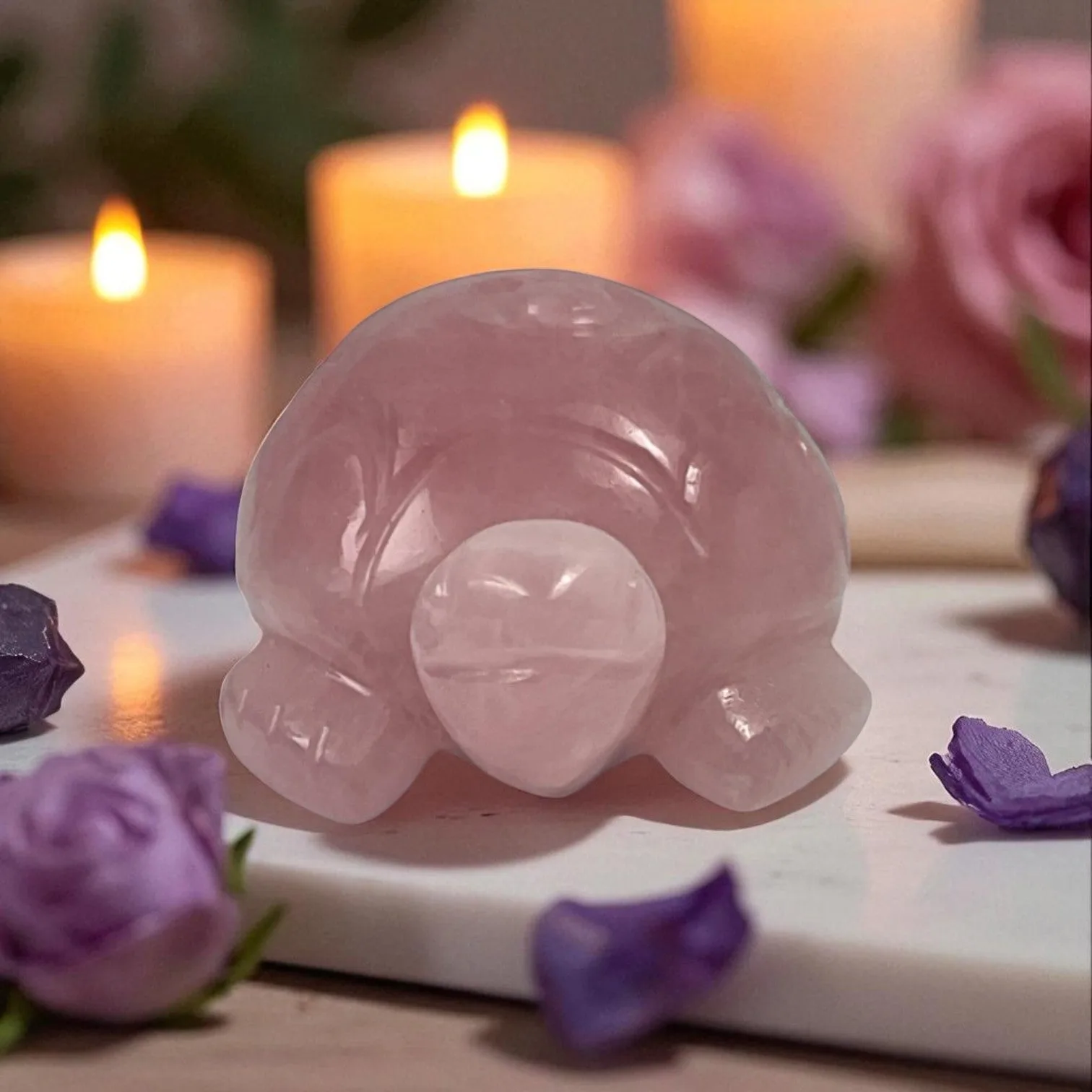 Rose Quartz Turtle