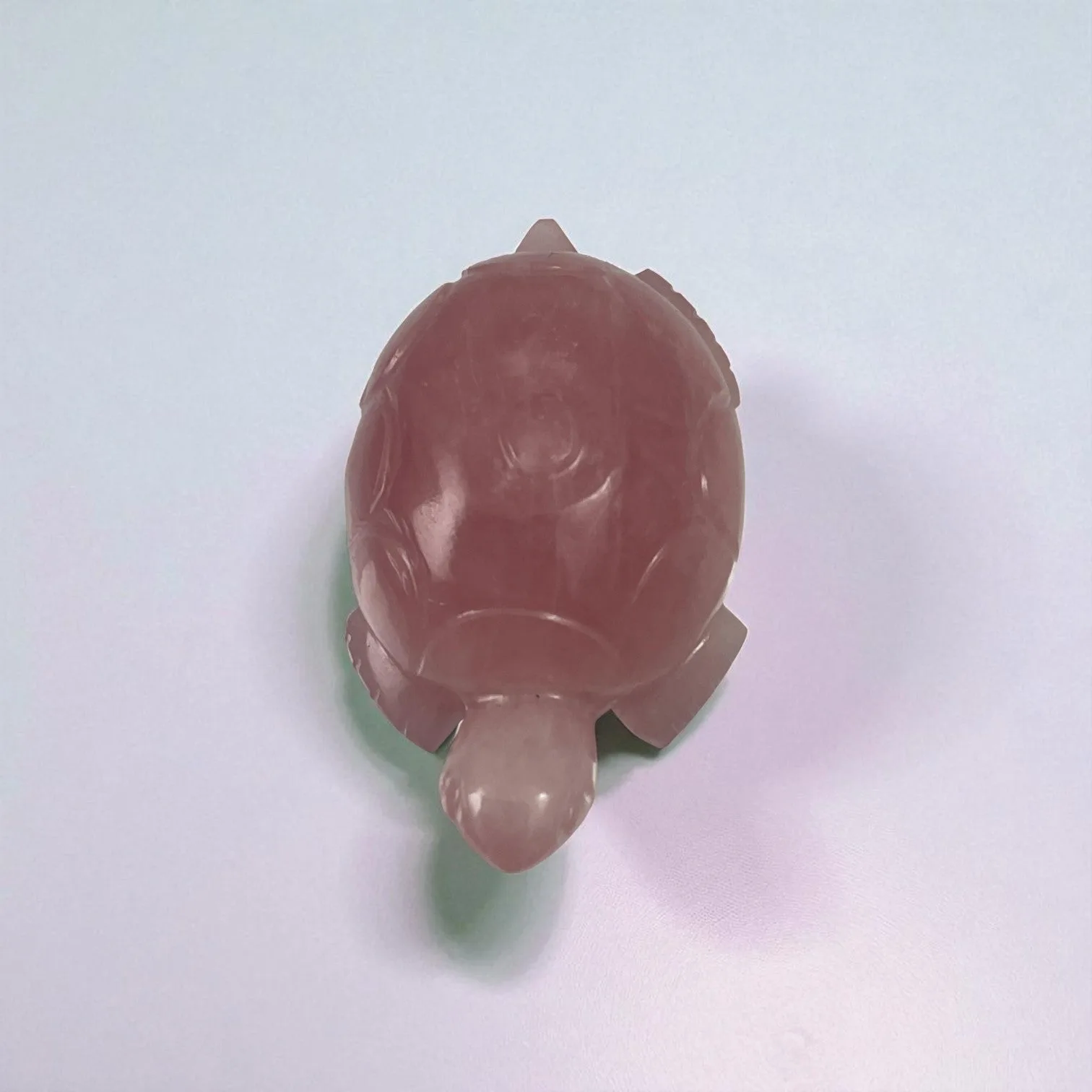 Rose Quartz Turtle