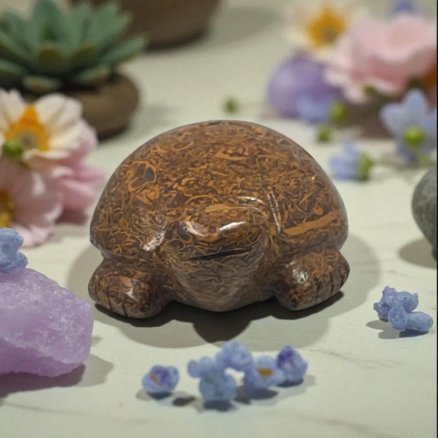 Mariyam JasperTurtle