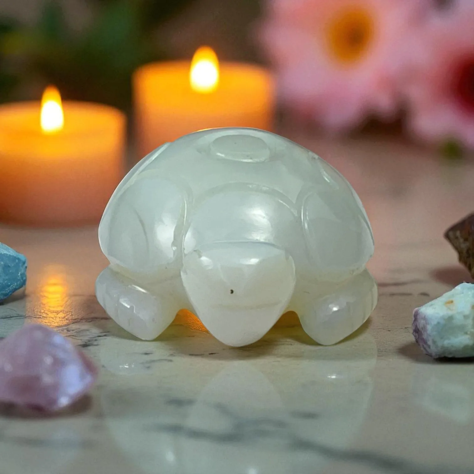 Opolite Turtle