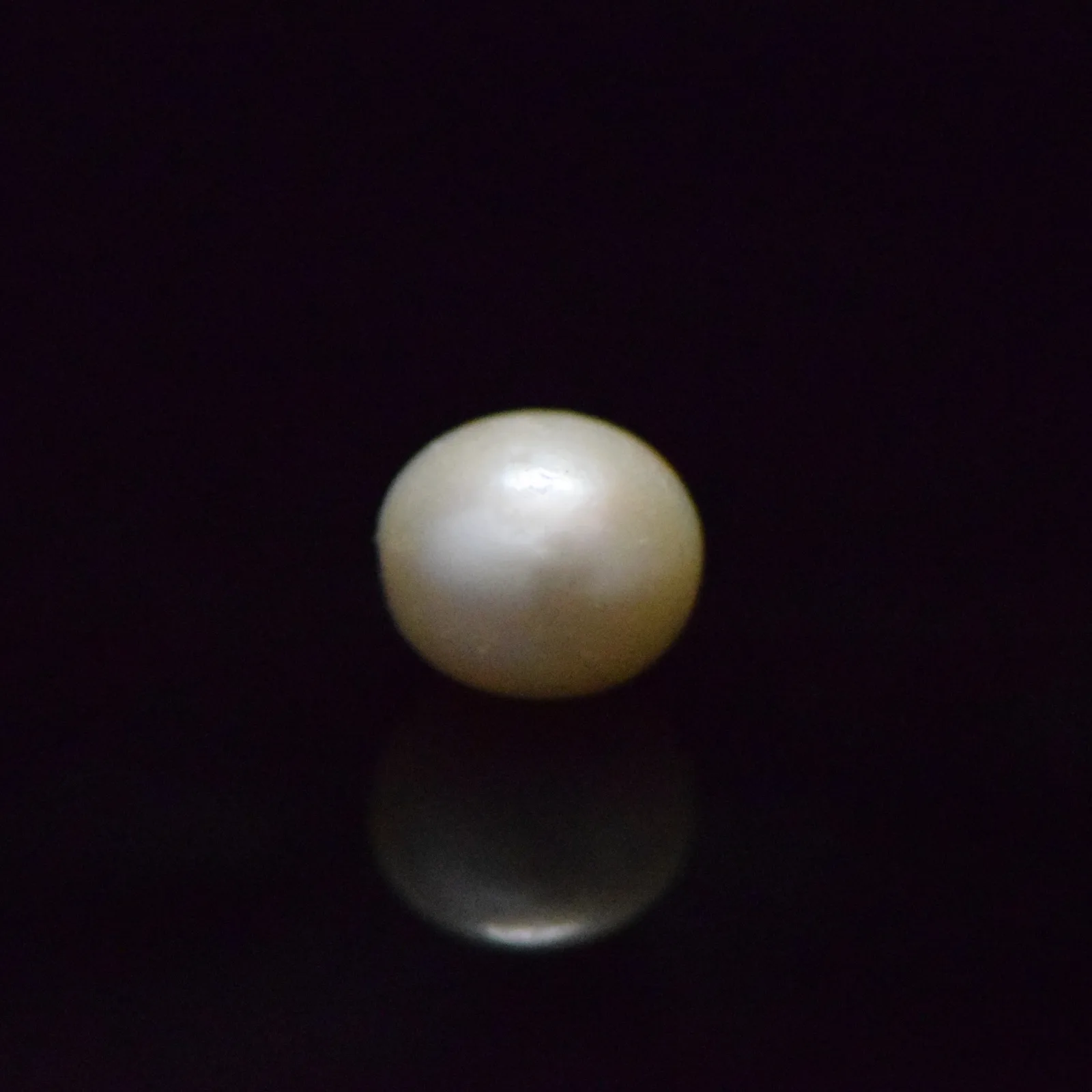 Fresh Water Pearl - 13.12 Carat