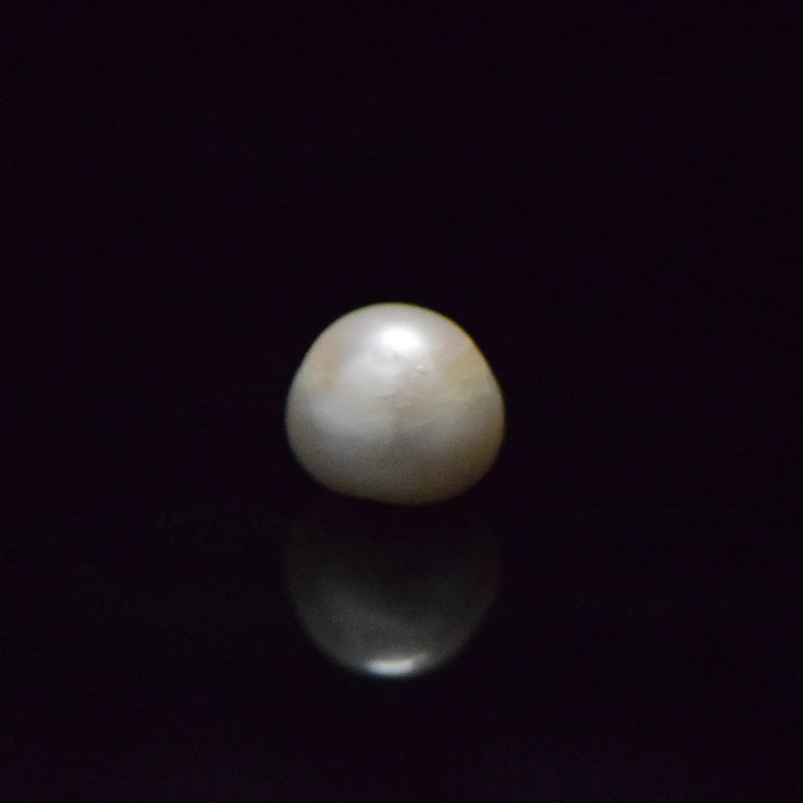 Fresh Water Pearl - 12.73 Carat