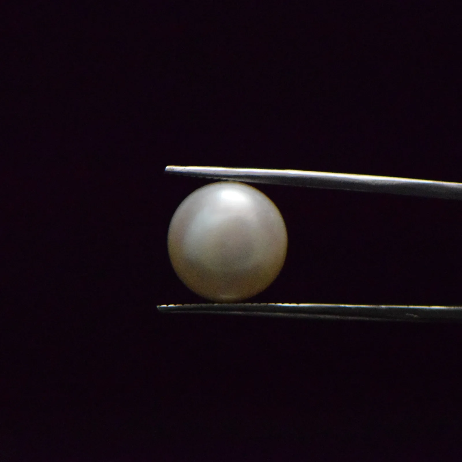 Fresh Water Pearl - 11.9 Carat