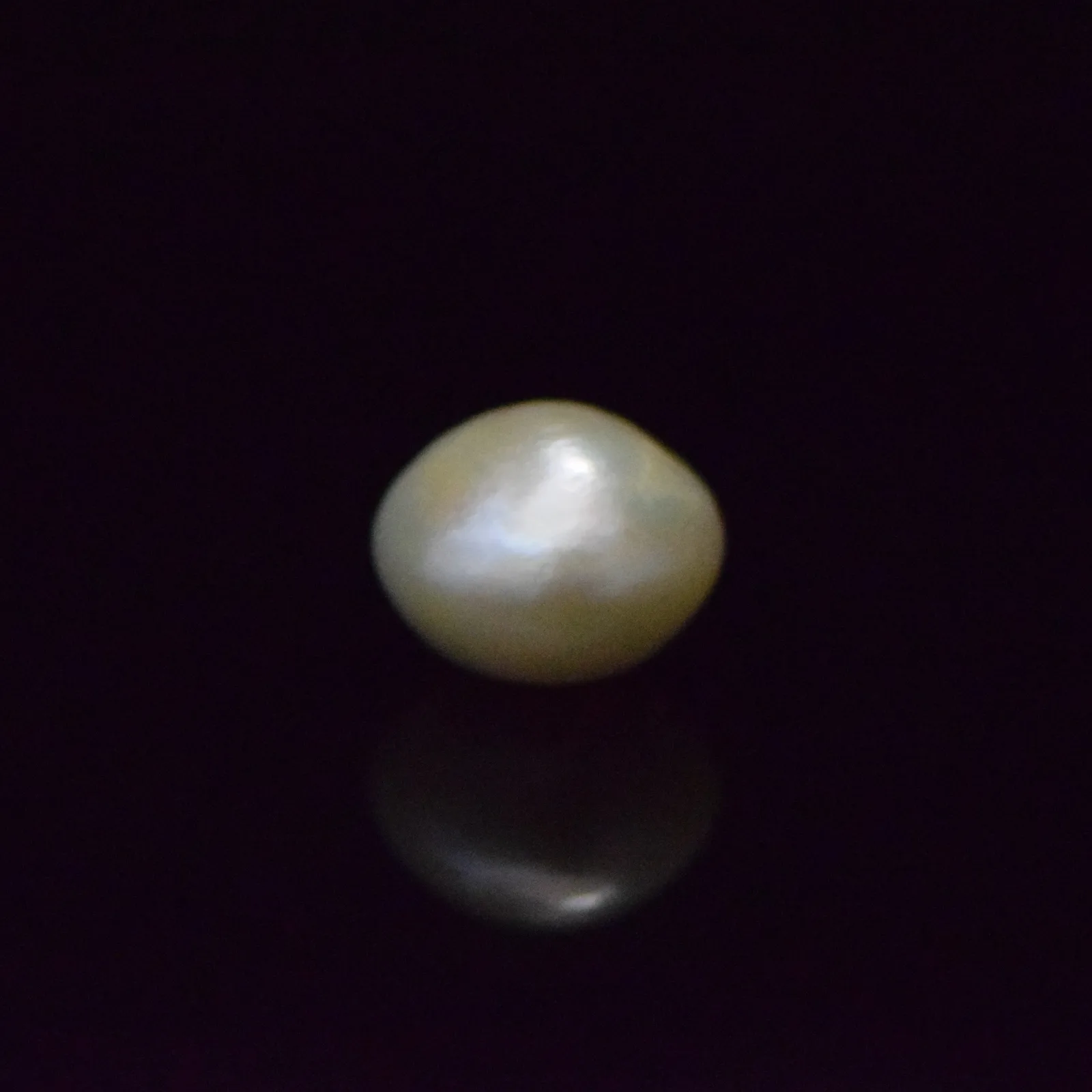 Fresh Water Pearl - 14.59 Carat
