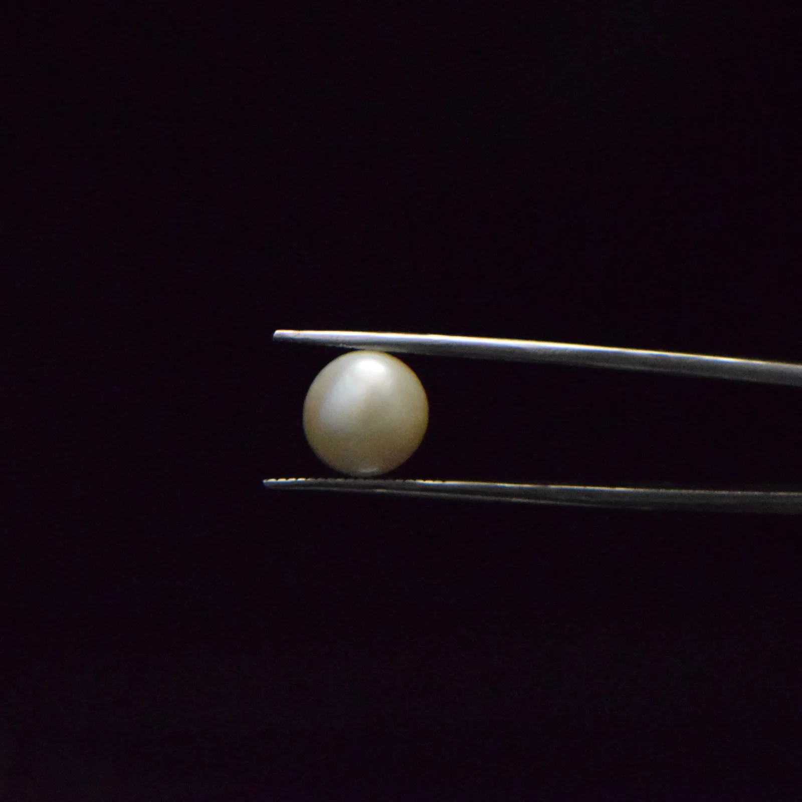 Fresh Water Pearl - 6.41 Carat