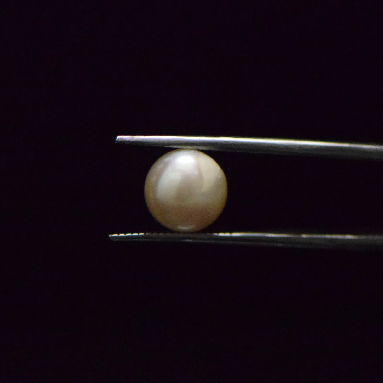 Fresh Water Pearl - 5.51 Carat