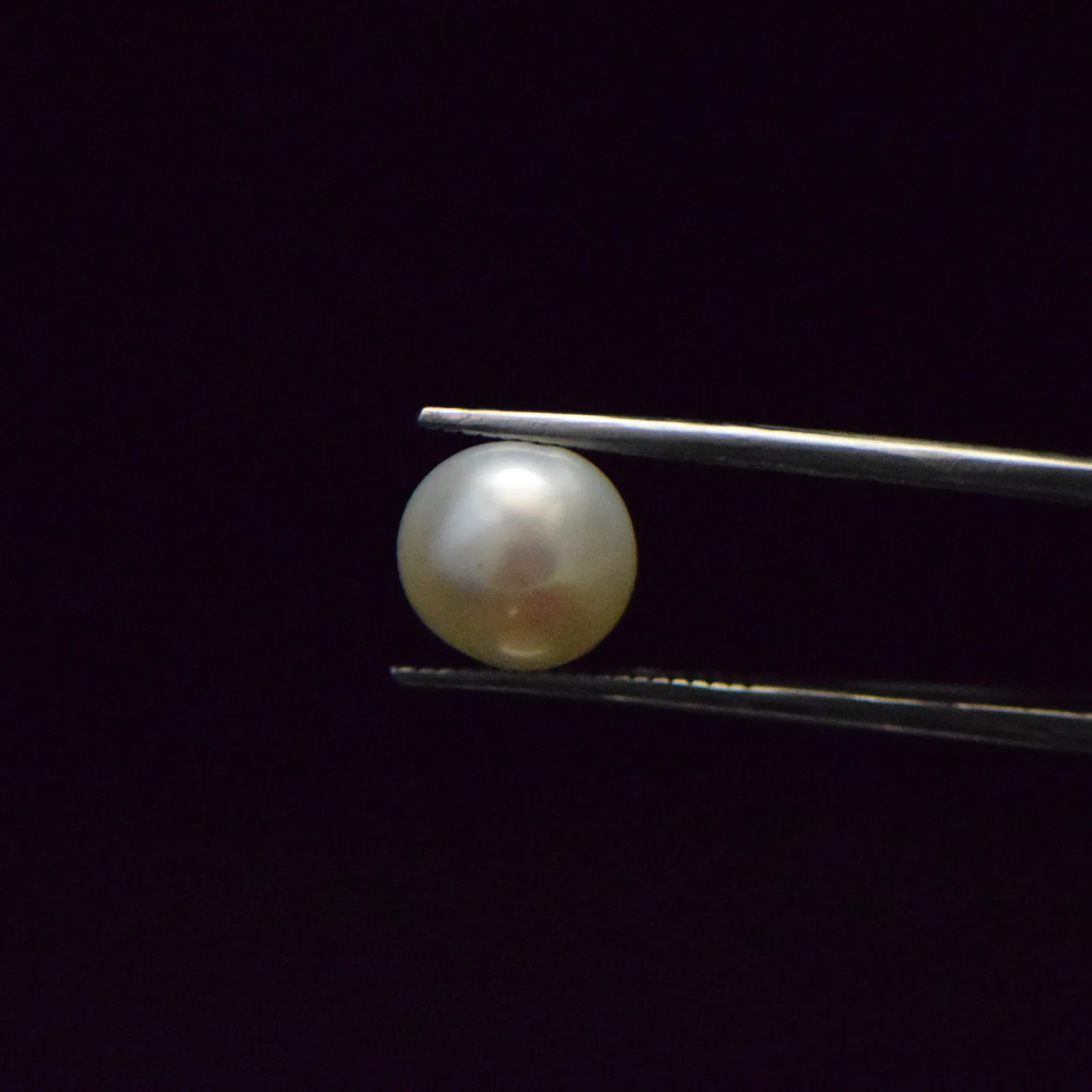Fresh Water Pearl - 5.12 Carat