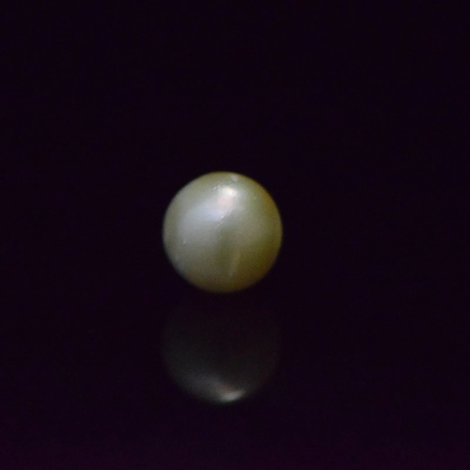 South Sea Pearl - 8.57 Carat