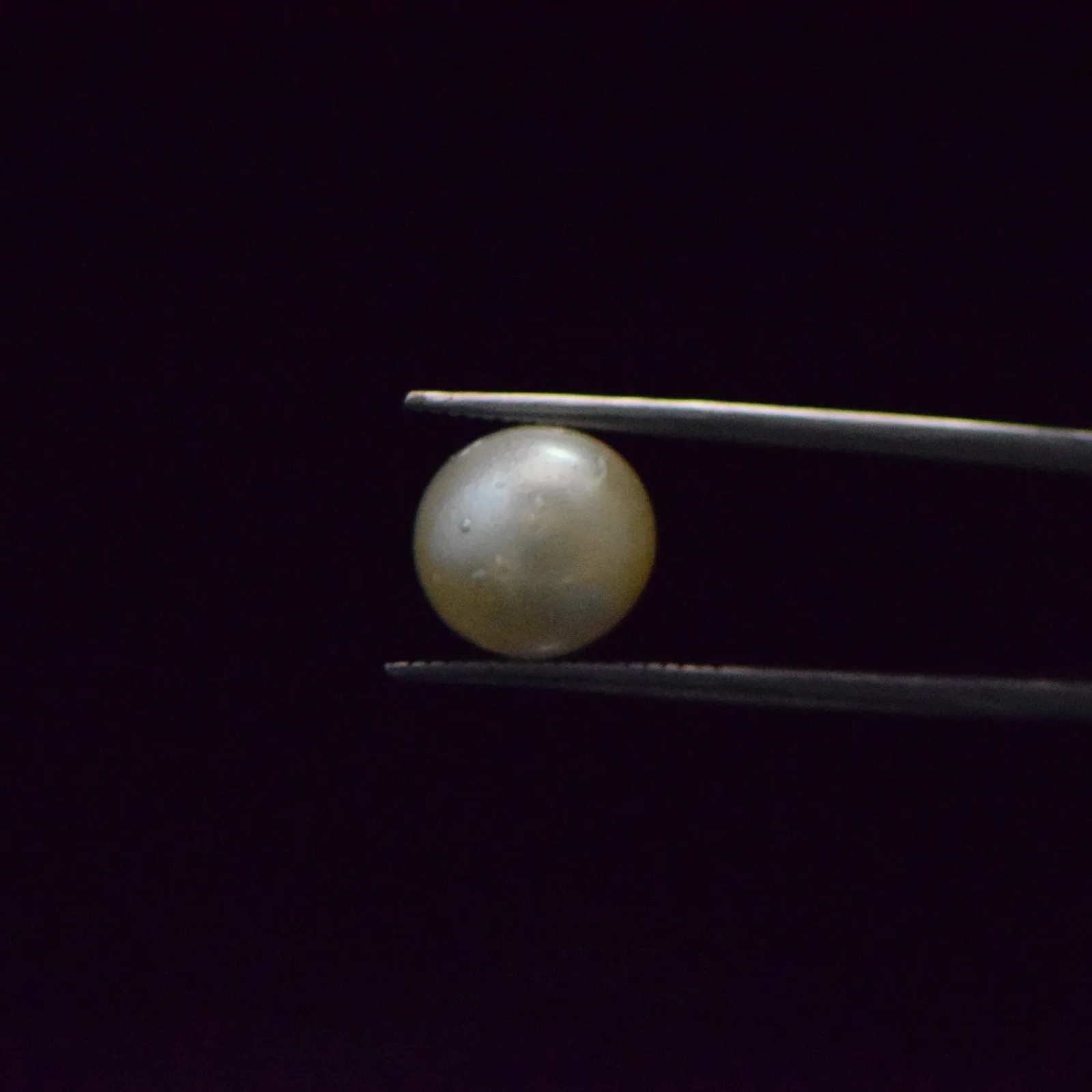 South Sea Pearl - 8.32 Carat