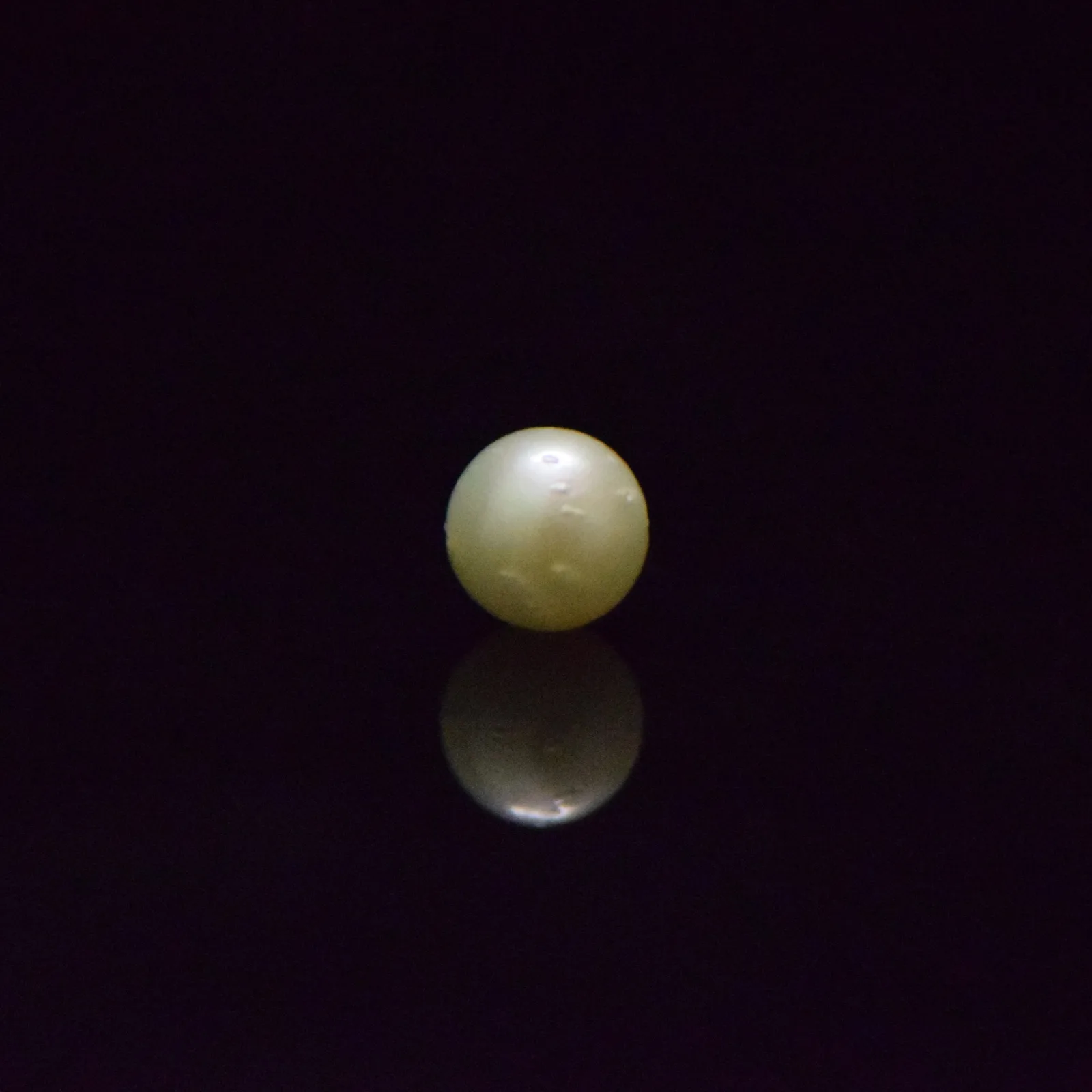 South Sea Pearl - 6.39 Carat
