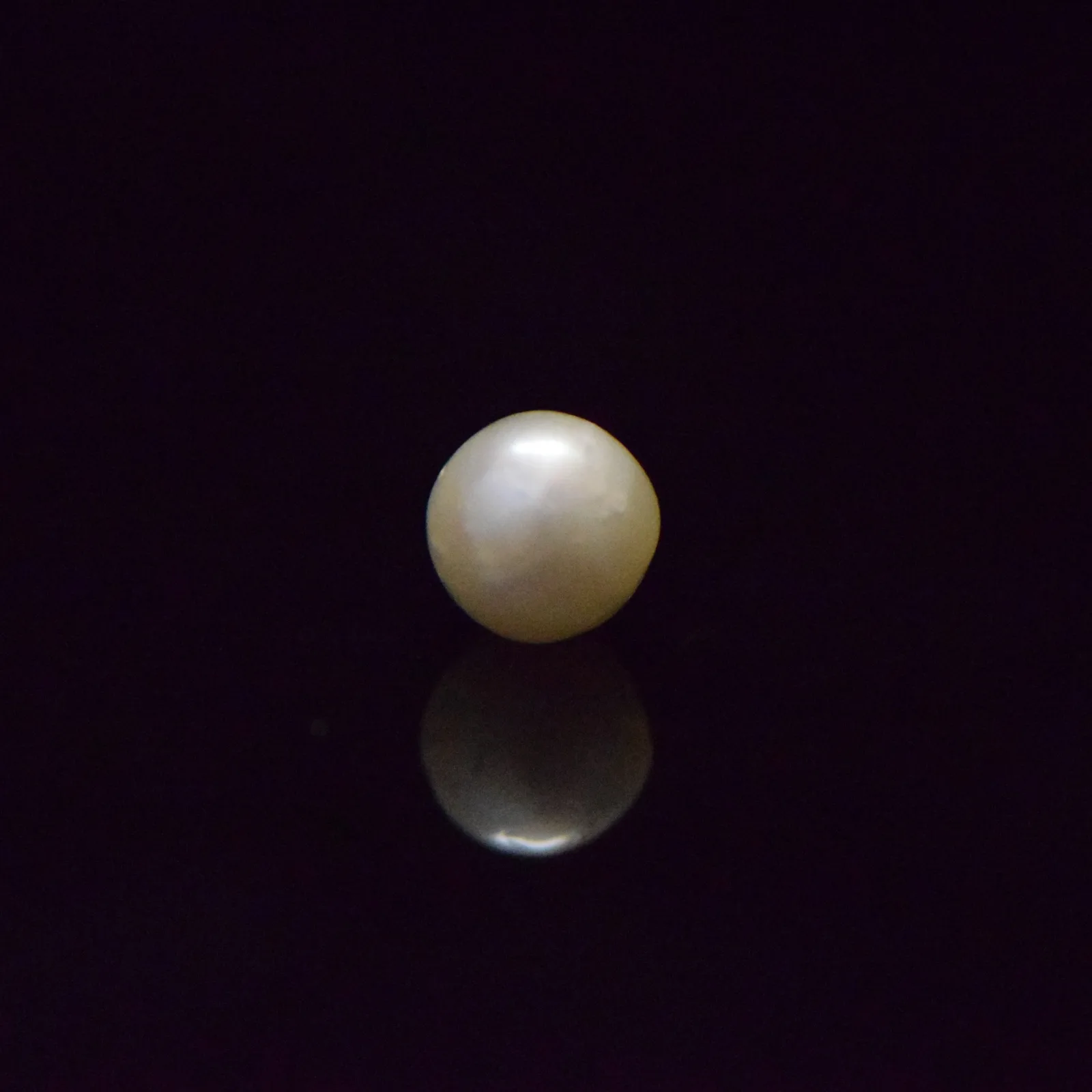 South Sea Pearl - 6.78 Carat