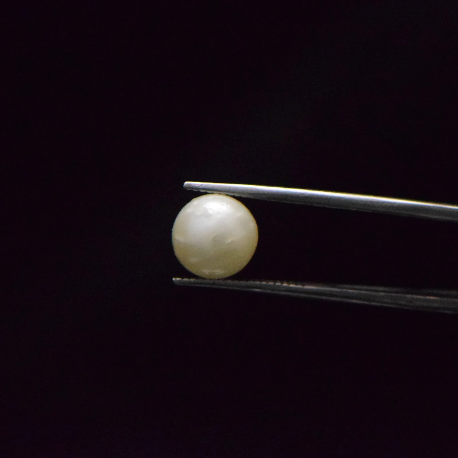 South Sea Pearl - 6.53 Carat