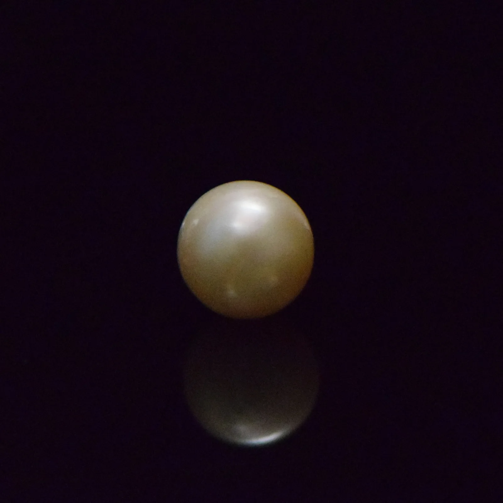 South Sea Pearl - 8.68 Carat