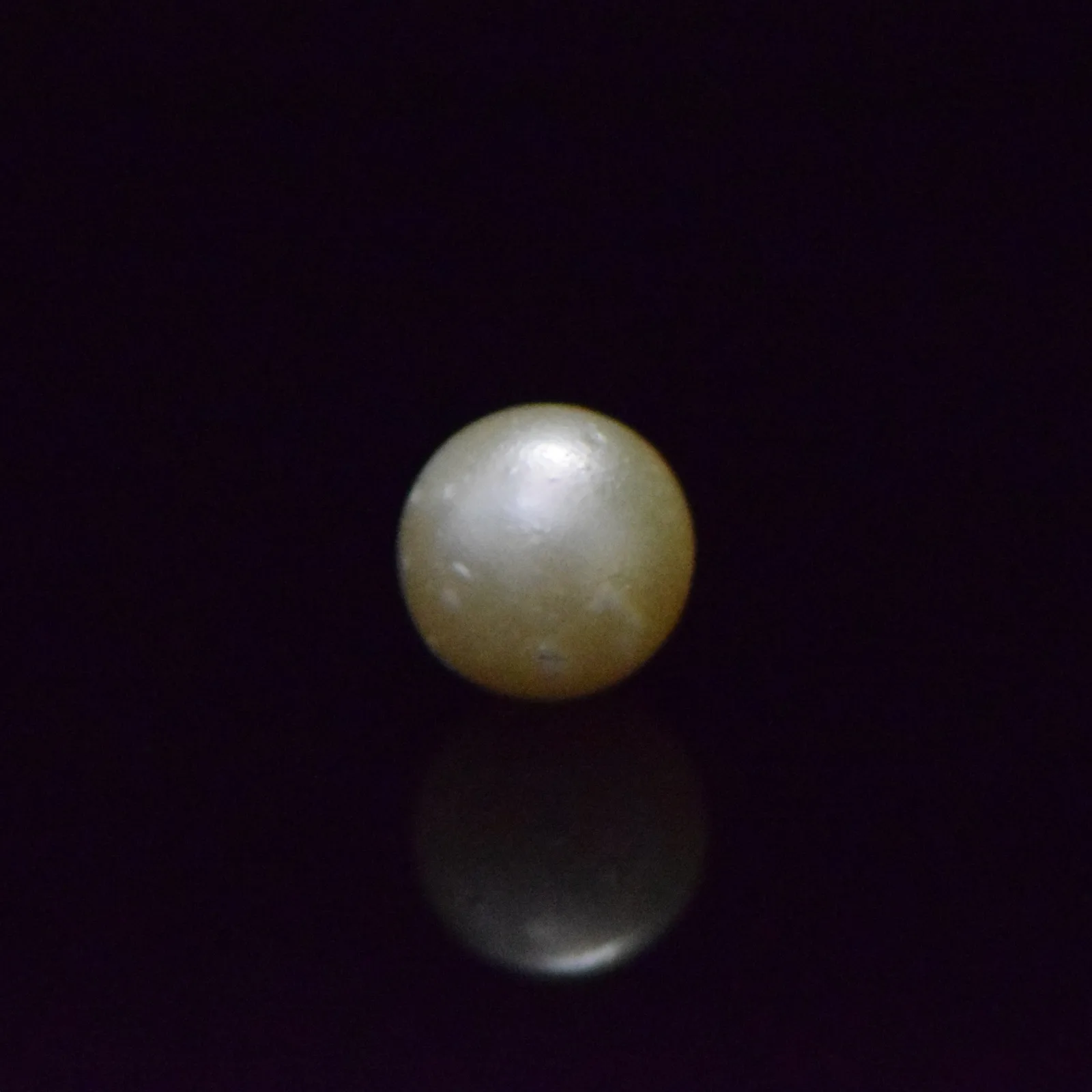 South Sea Pearl - 9.14 Carat