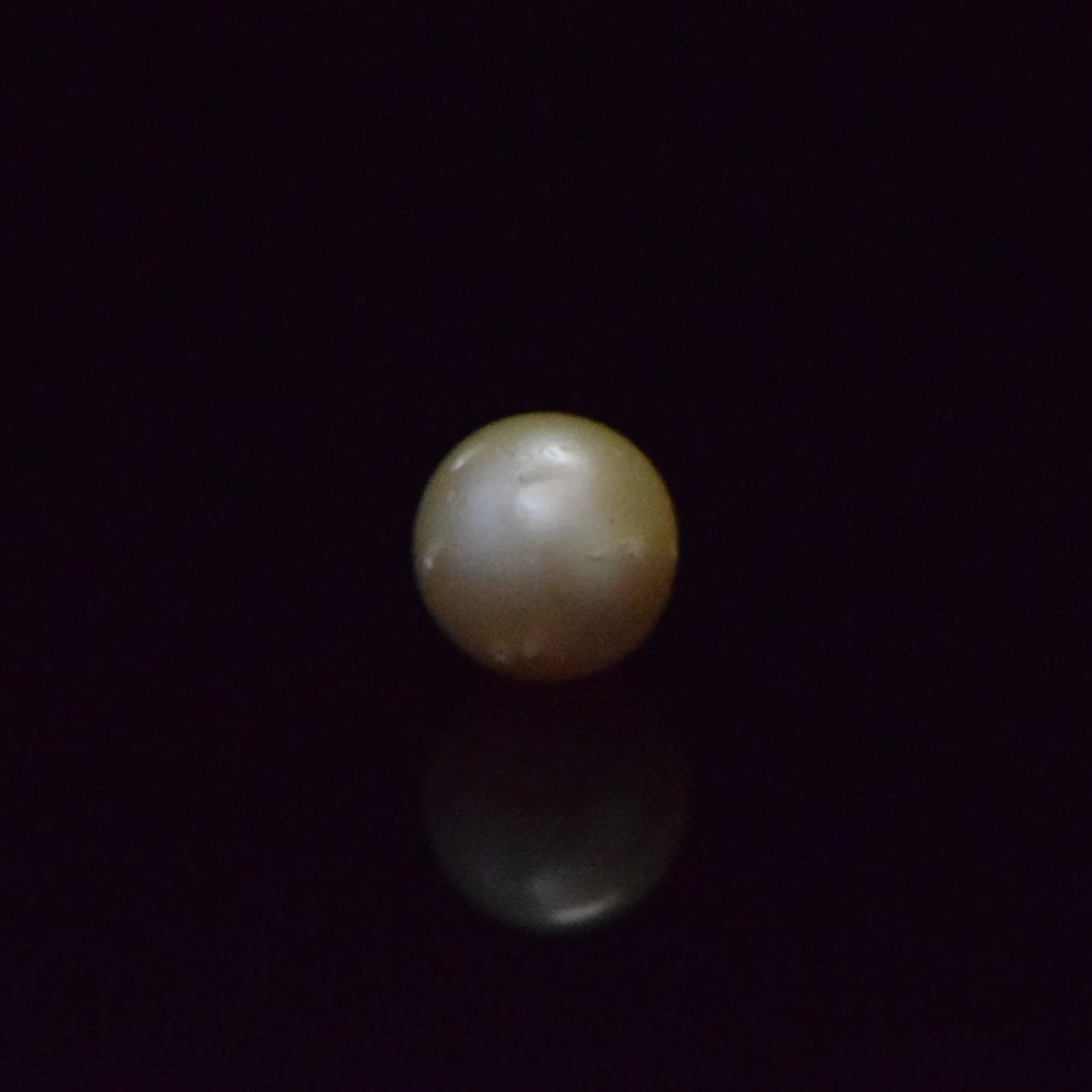 South Sea Pearl - 7.64 Carat