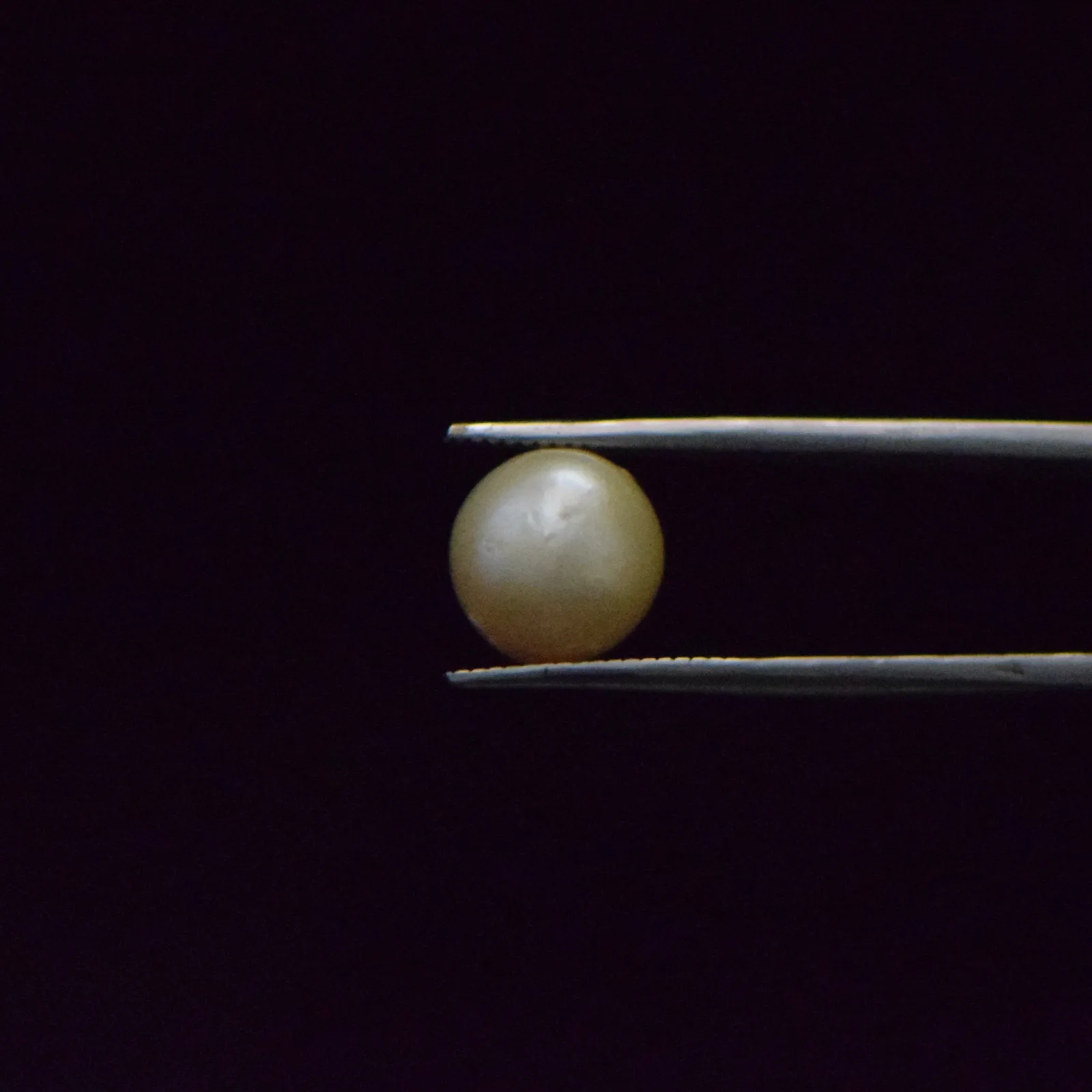 South Sea Pearl - 7.64 Carat