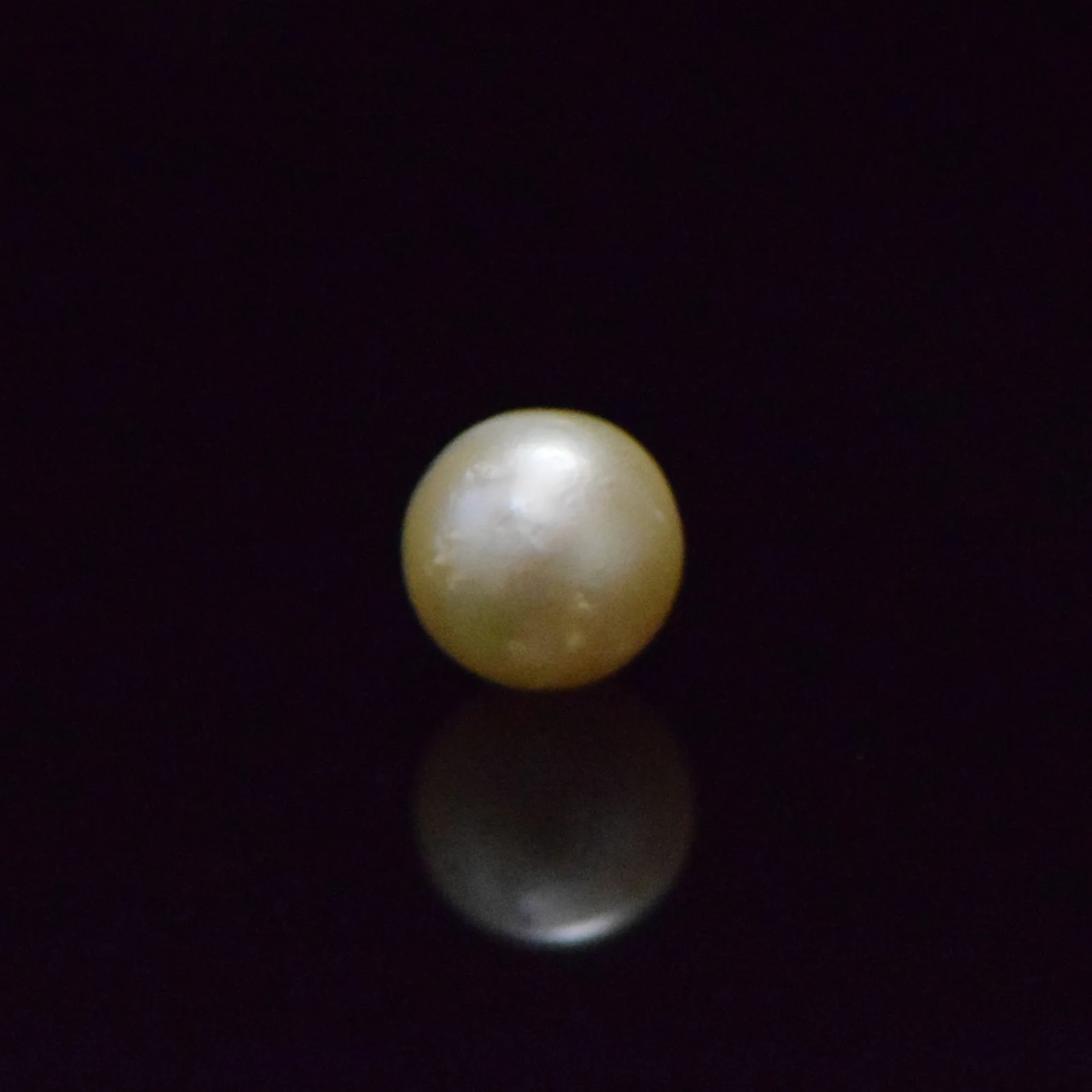 South Sea Pearl - 8.36 Carat