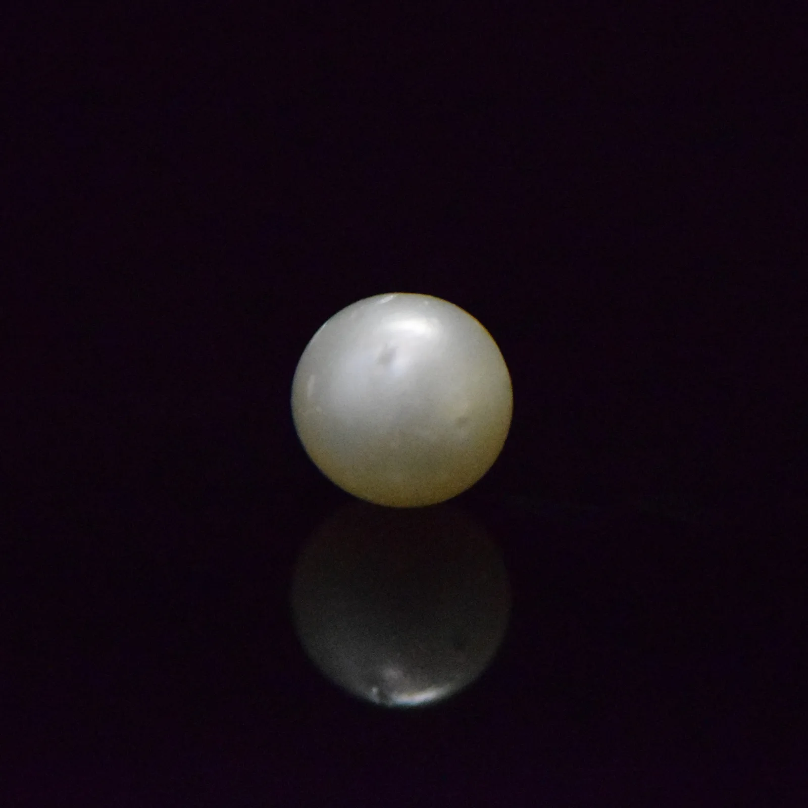 South Sea Pearl - 7.28 Carat