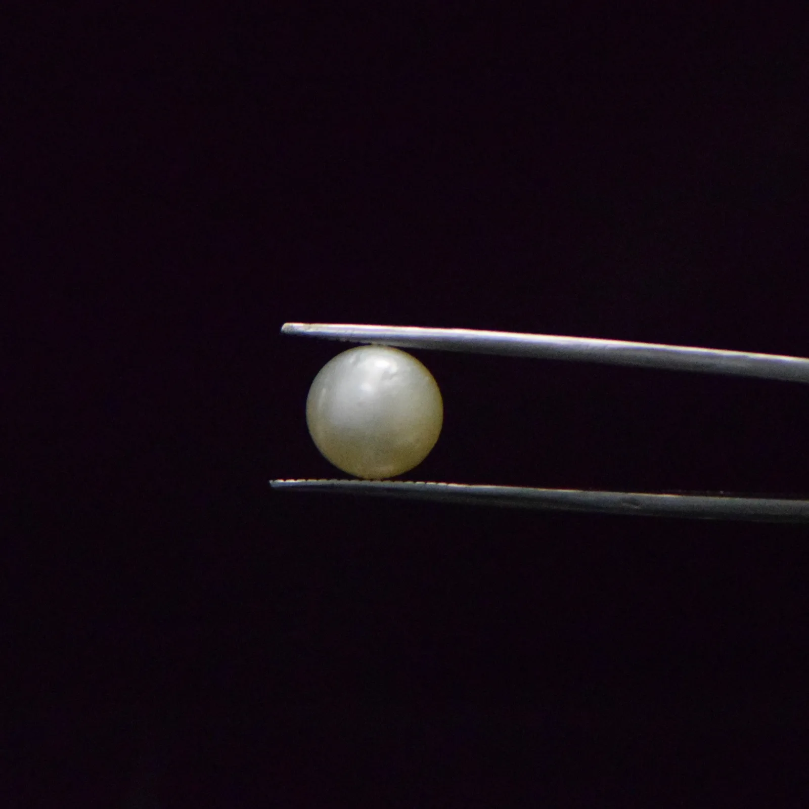 South Sea Pearl - 7.28 Carat